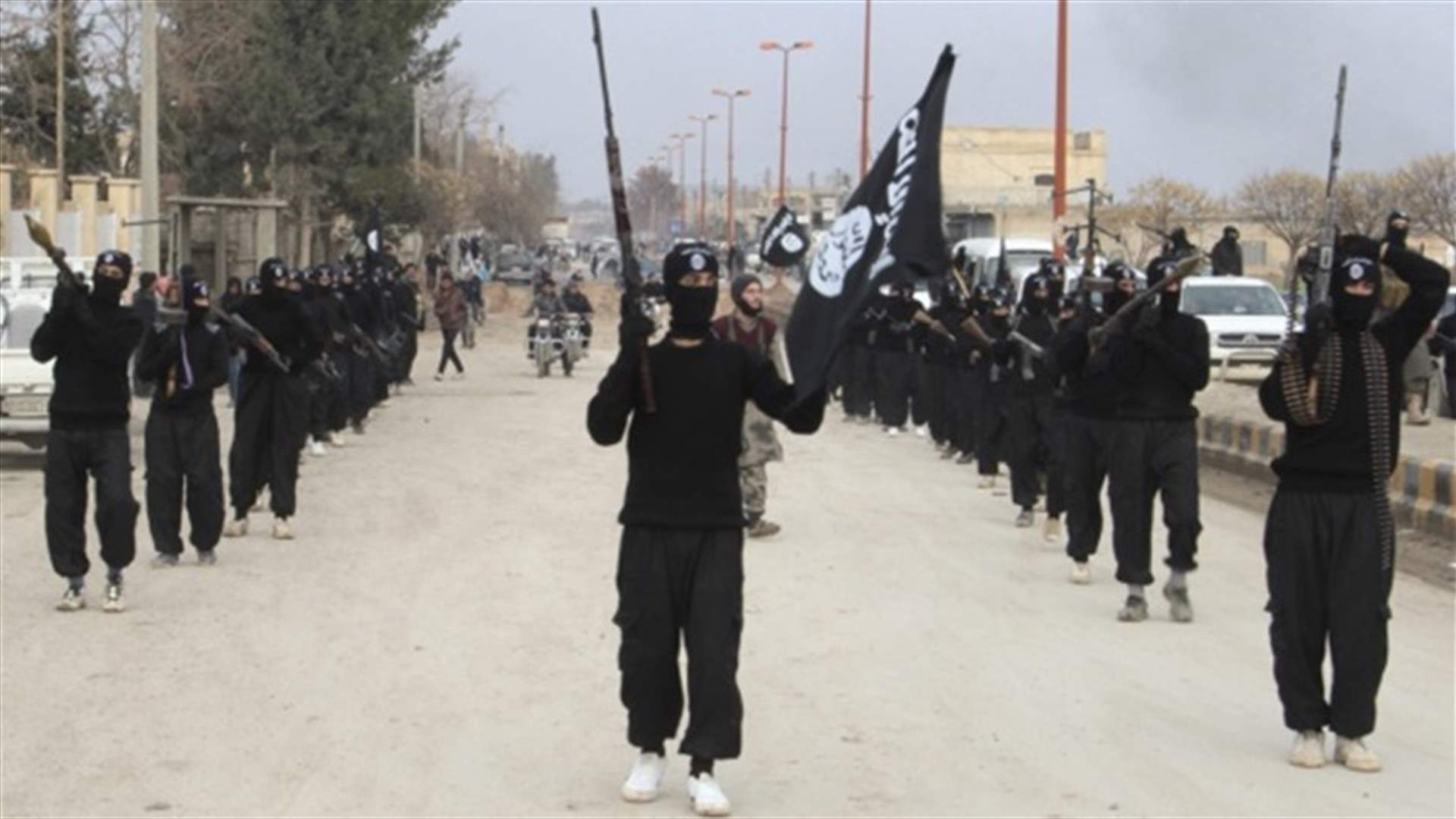 ​Iraq may operate against Islamic State inside Syria - expert