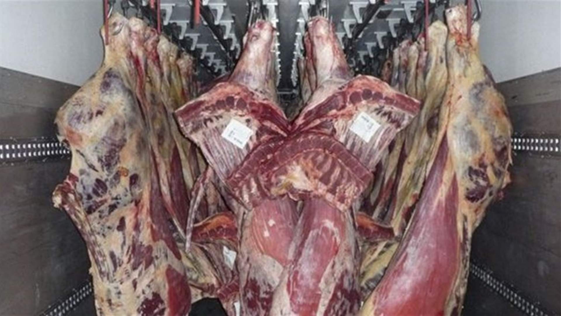 محافظ جبل لبنان اقفل مستودع لحوم مبردة ومواد غذائية احتياطيا