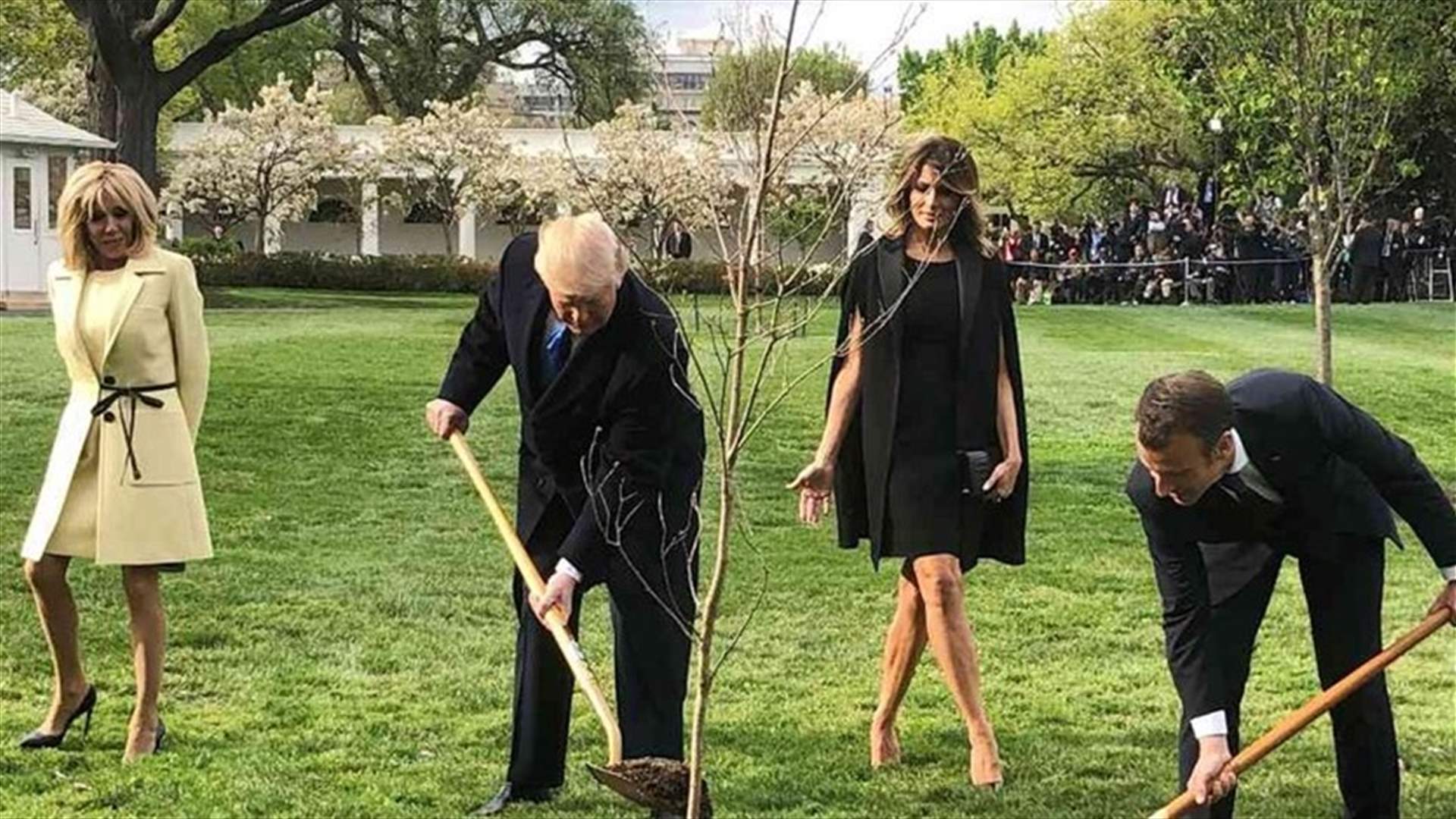 Macron And Trump Planted A Tree At The White House. Why It Is Now Missing