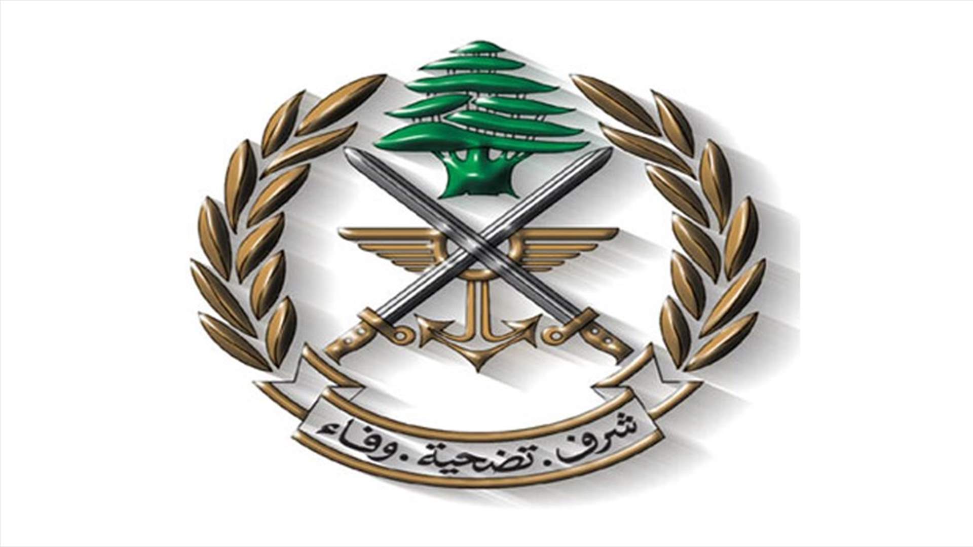 الجيش: خرق طائرة استطلاع معادية الاجواء