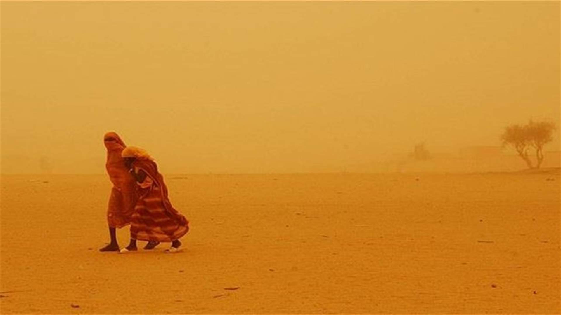 قتيلا و143 جريحا في عواصف رملية تضرب شمال الهند