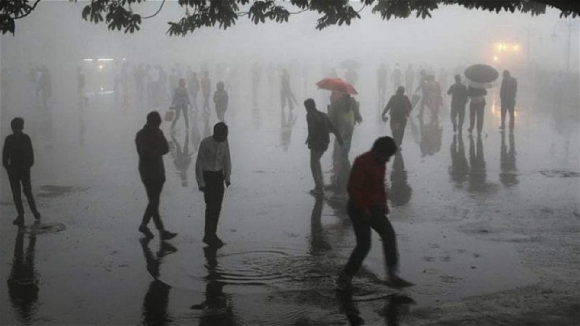 Deadly dust storm ravages northern India