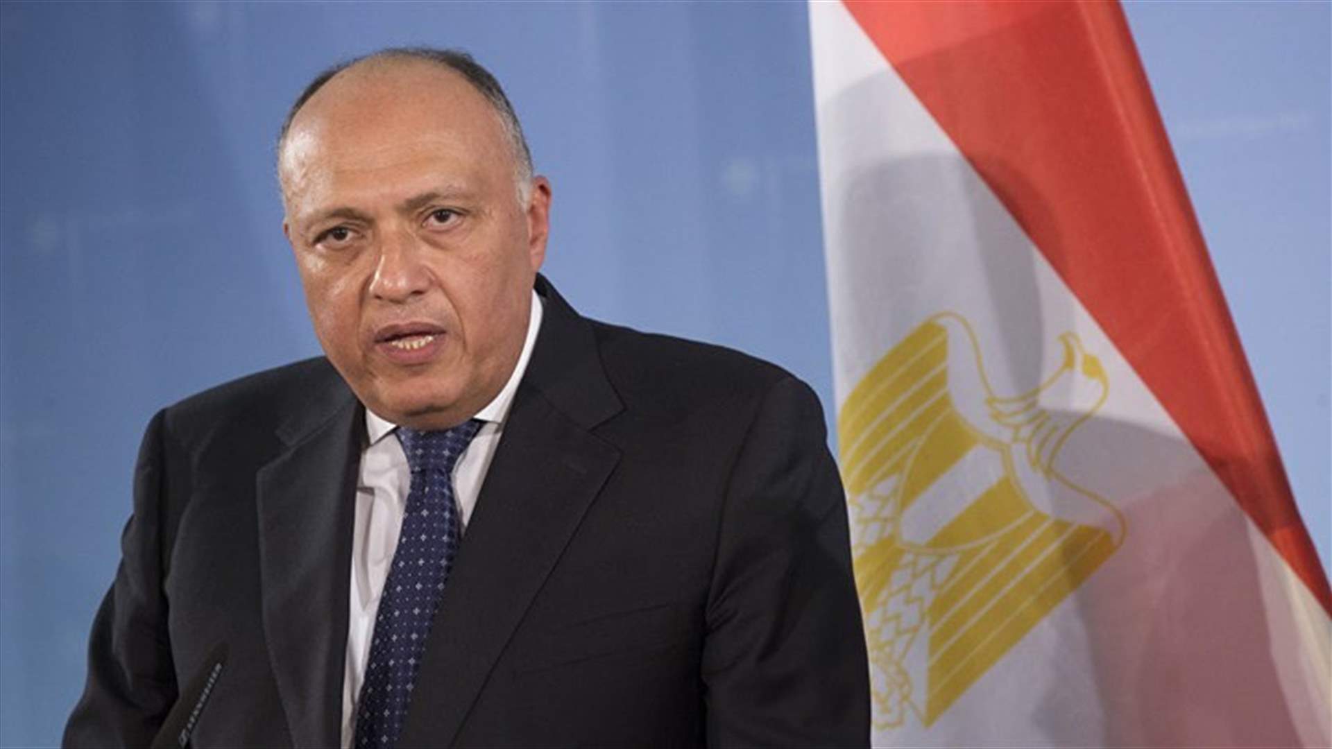 Egypt says sending Arab troops to Syria a possibility - state newspaper