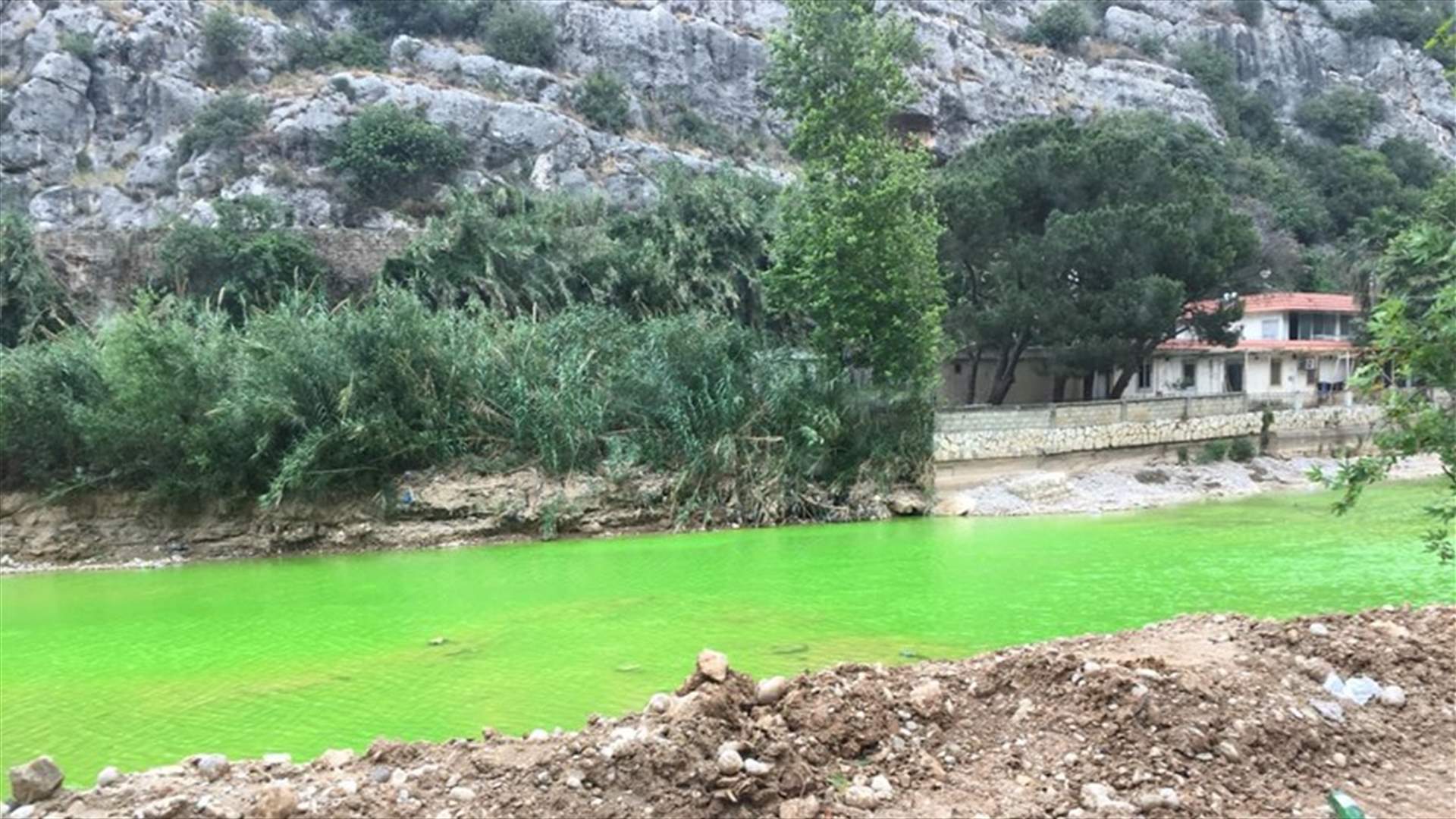 بالصور- مياه نهر الكلب باللون الاخضر