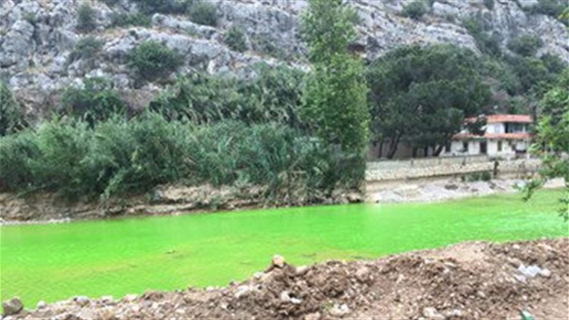 [PHOTOS] Naher el-Kaleb River turns green