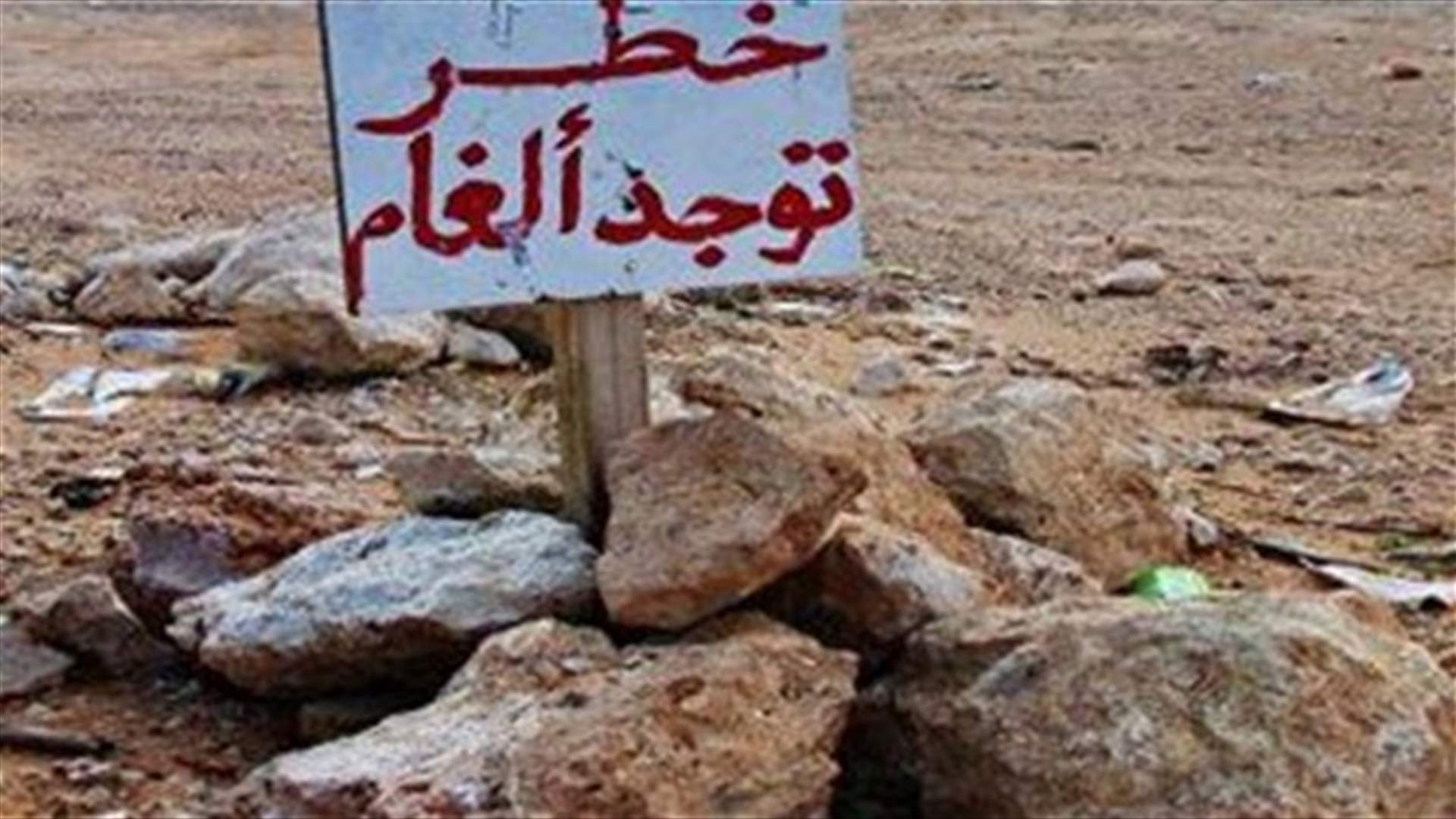 Four Egyptian workers killed by land mine near new capital -sources