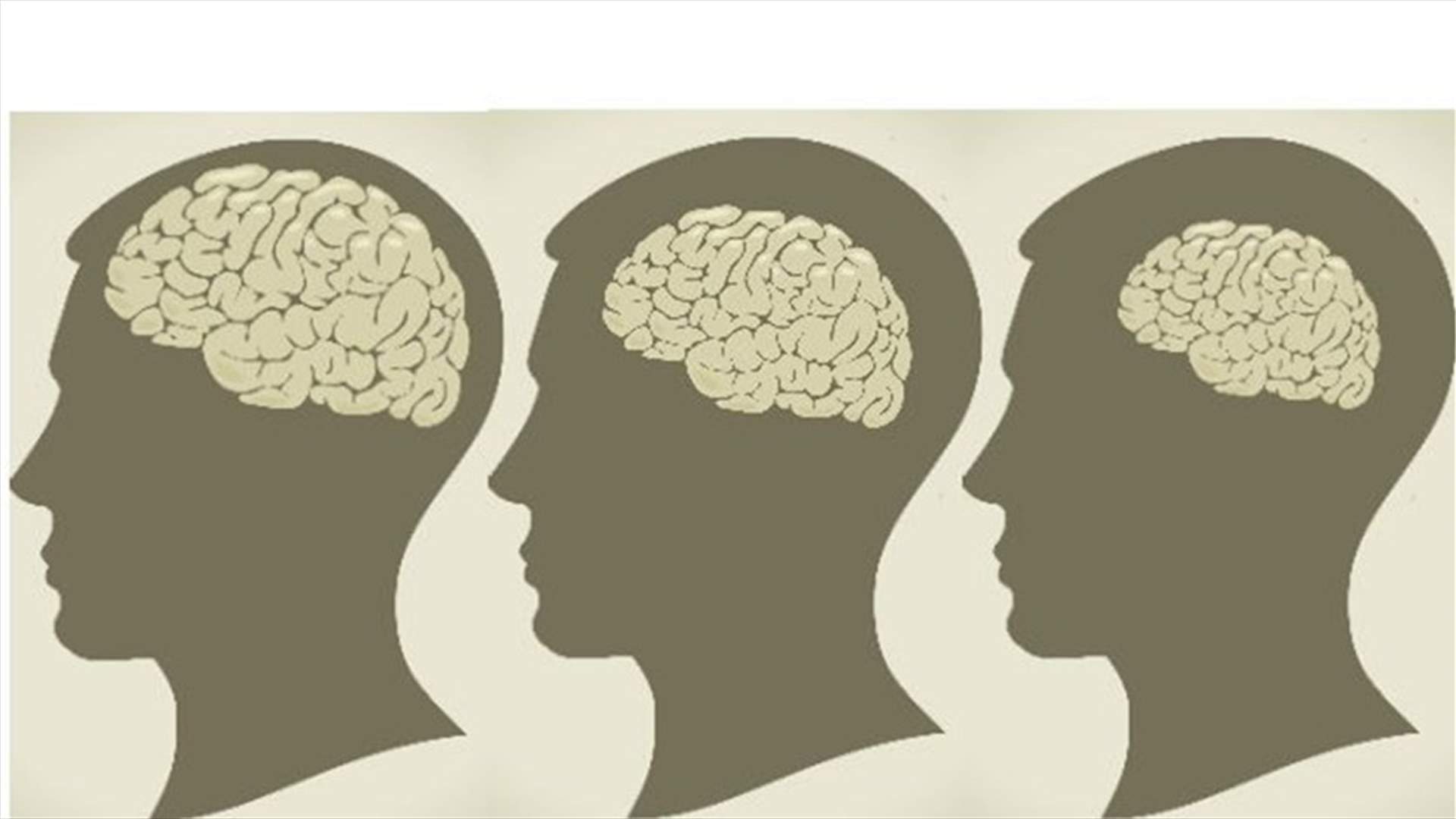 ما هي الأطعمة التي تمنع تقلّص الدماغ؟