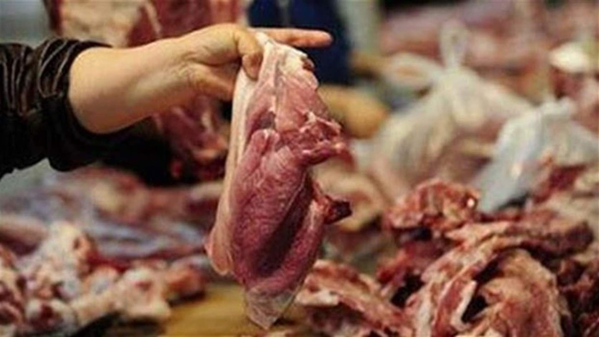 نهرا طلب إقفال مسلخ اللحوم التابع لاتحاد بلديات الفيحاء لعدم استيفائه الشروط