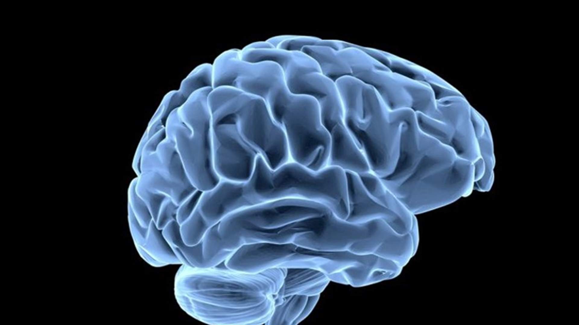 Scientists Hunt Down Genes Behind Humankind's Big Brain