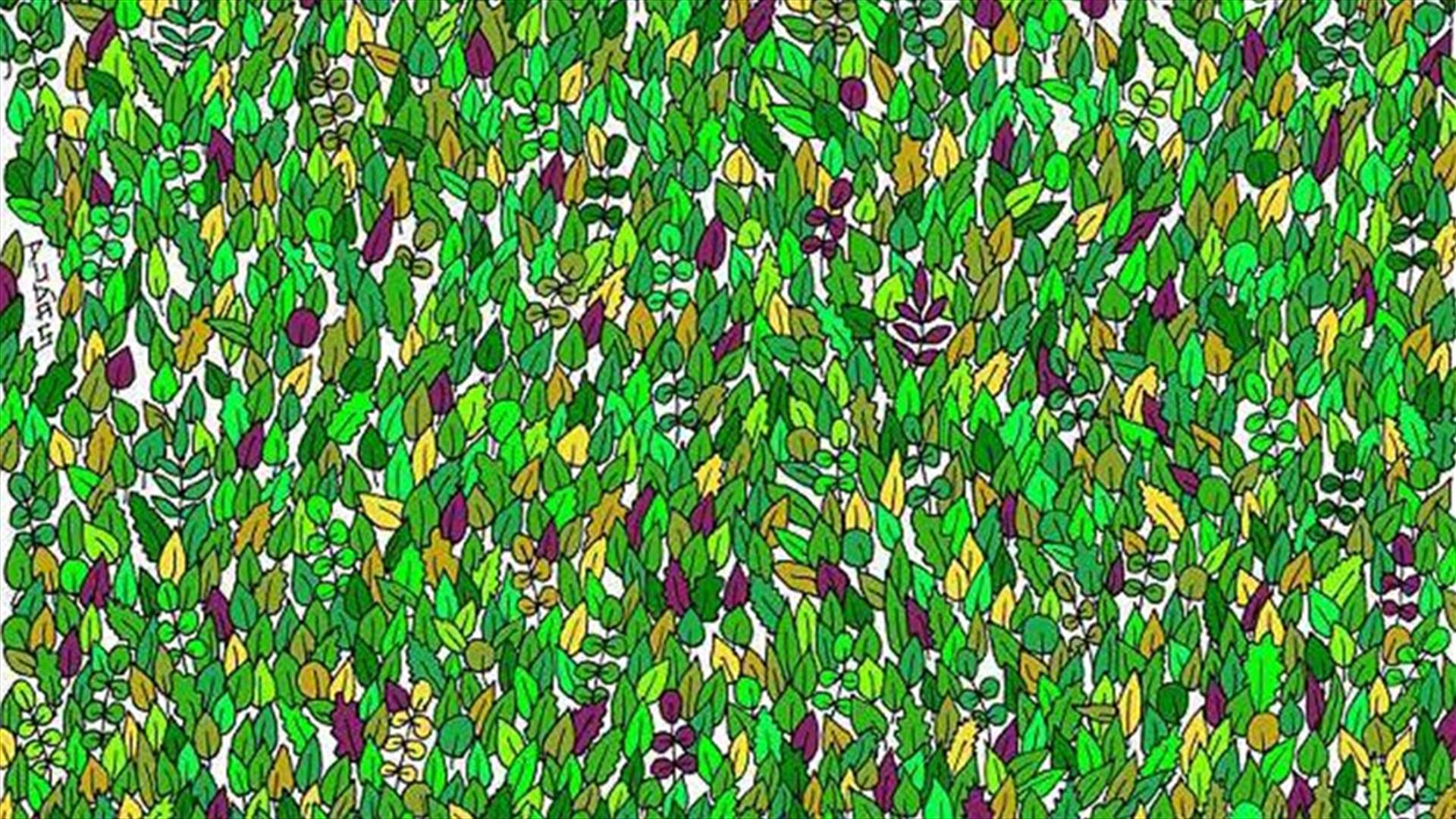 كثيرون لم يستيطعوا رؤيته... هل بإمكانكم ايجاد الضفدع بين الأوراق في هذه الصورة؟