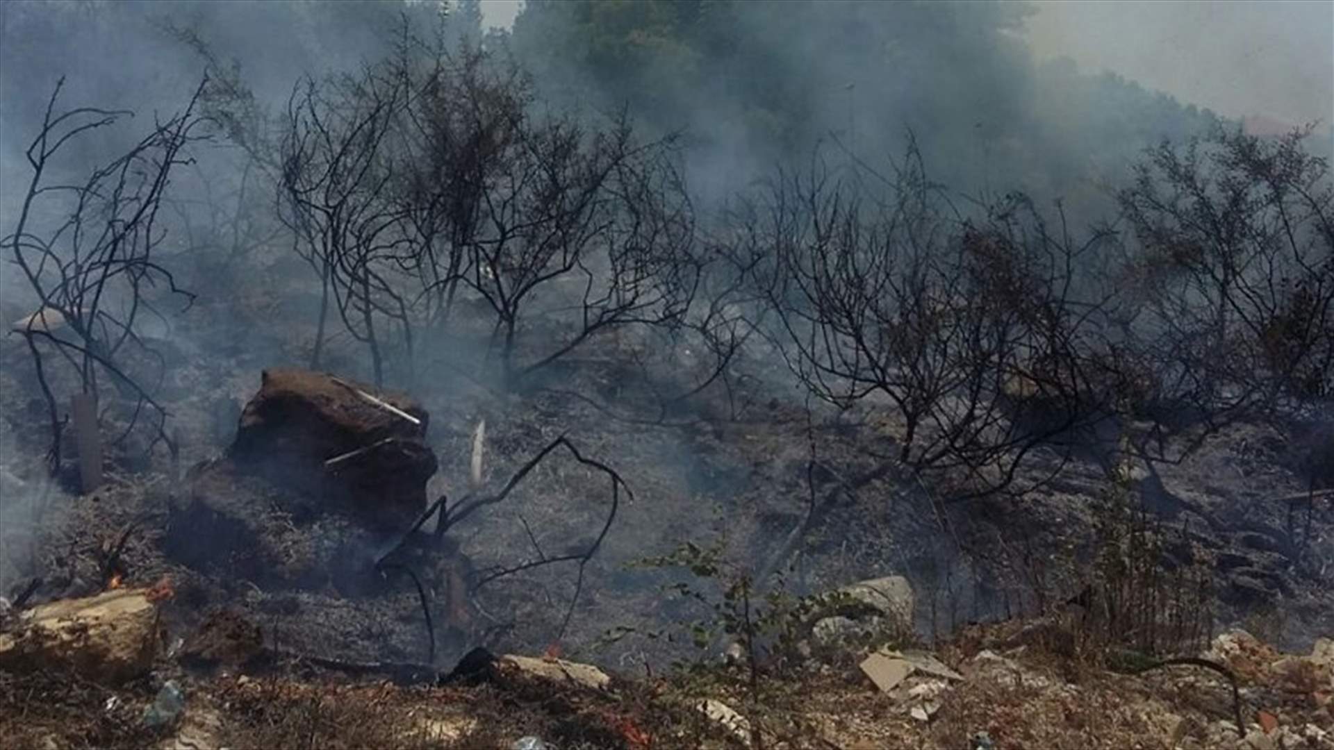 حريق في خراج بلدة النخلة الكورة