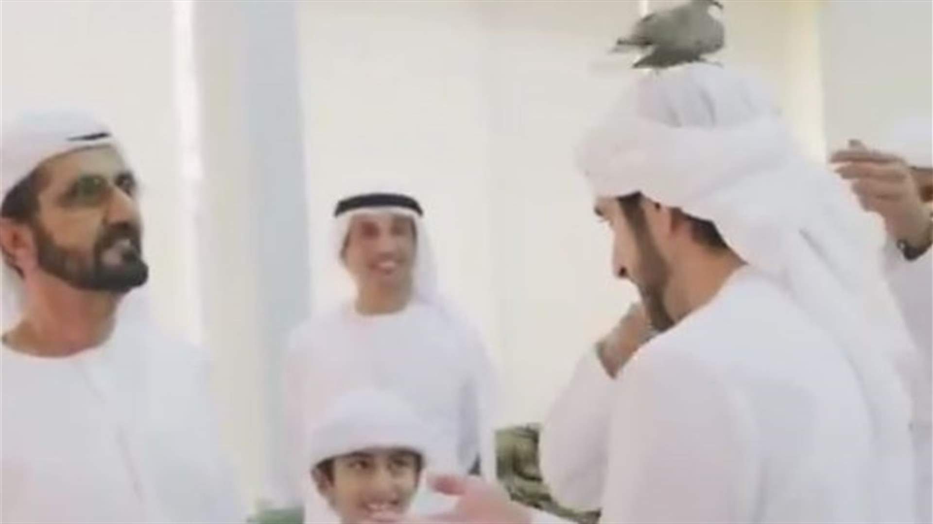 فيديو طريف لطير يحّط على رأس حاكم دبي