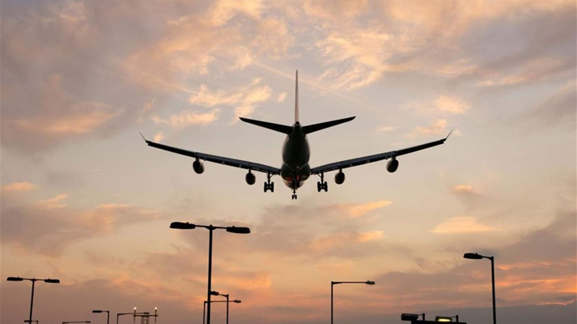 بالفيديو- شاهدوا كيف تسبب تمساح بتأخير موعد هبوط طائرة...