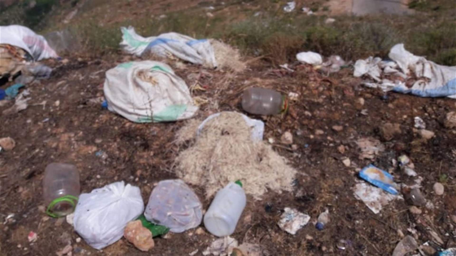 مجهولون رموا اكياسا محملة بطيور الدجاج النافقة في ضهور الحسين في جديدة القيطع