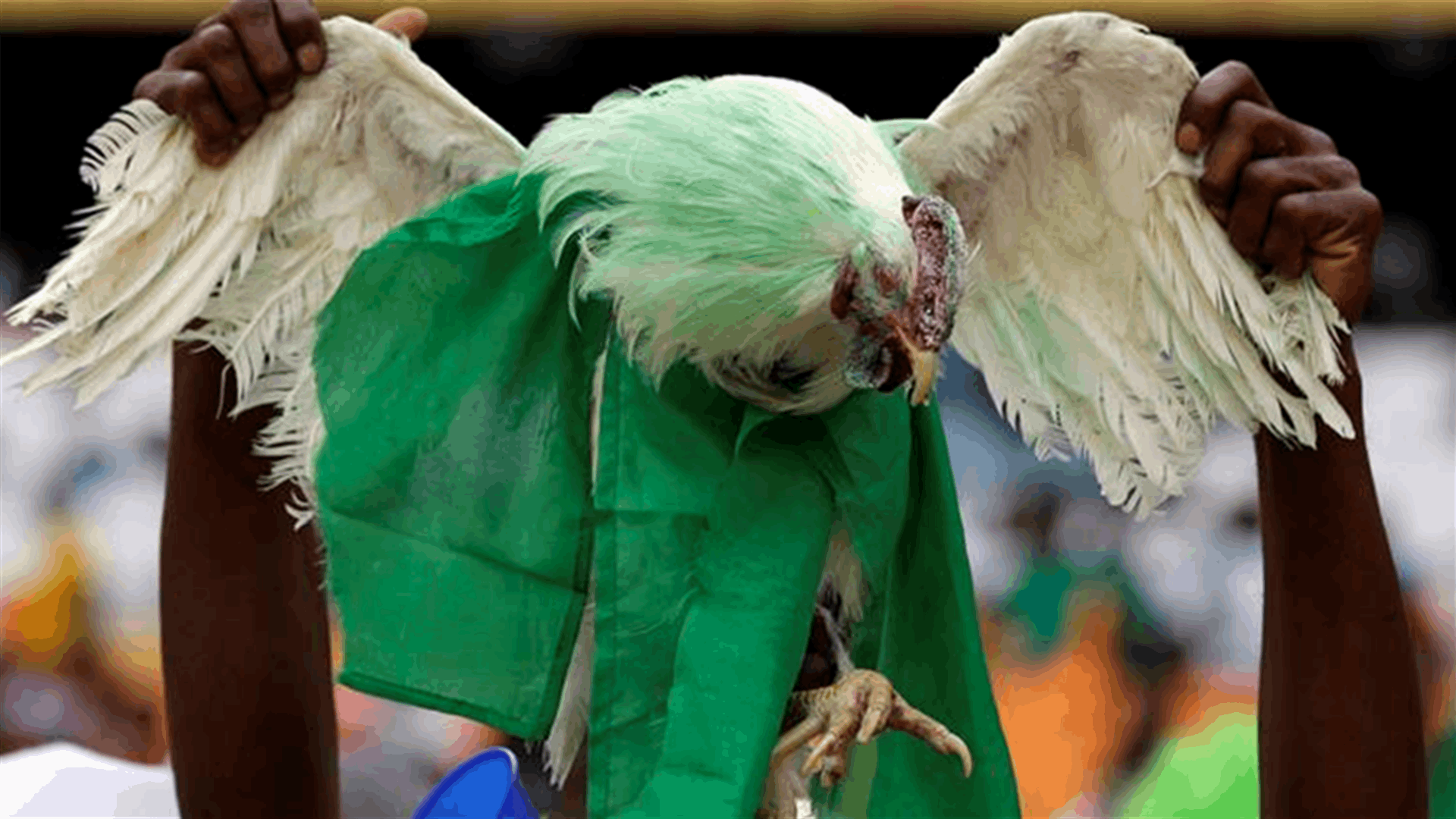 Russia cries foul over Nigerian fans' World Cup chicken requests