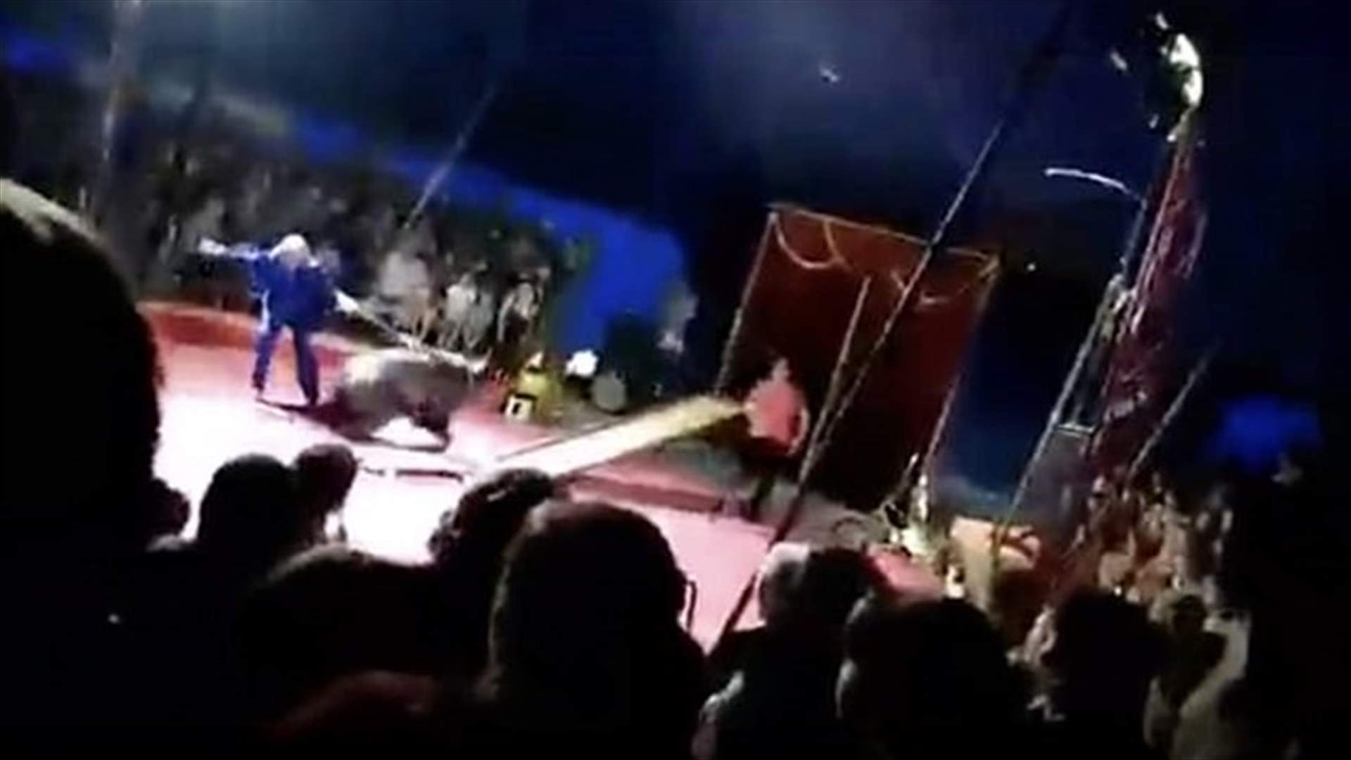 مشهد مرعب أخاف الأطفال... دب هاجم مدربيه في سيرك!