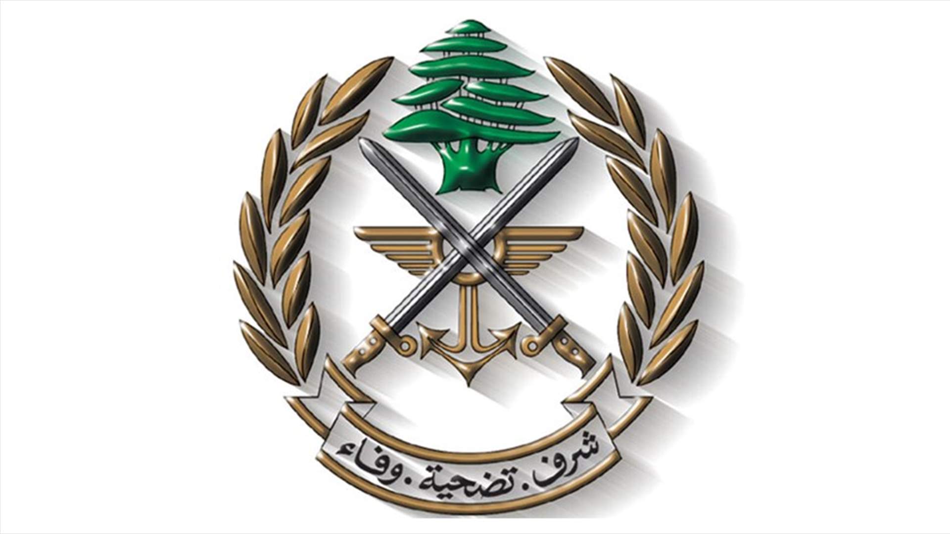 توقيف الفلسطيني محمد عبد اللطيف الطبعوني