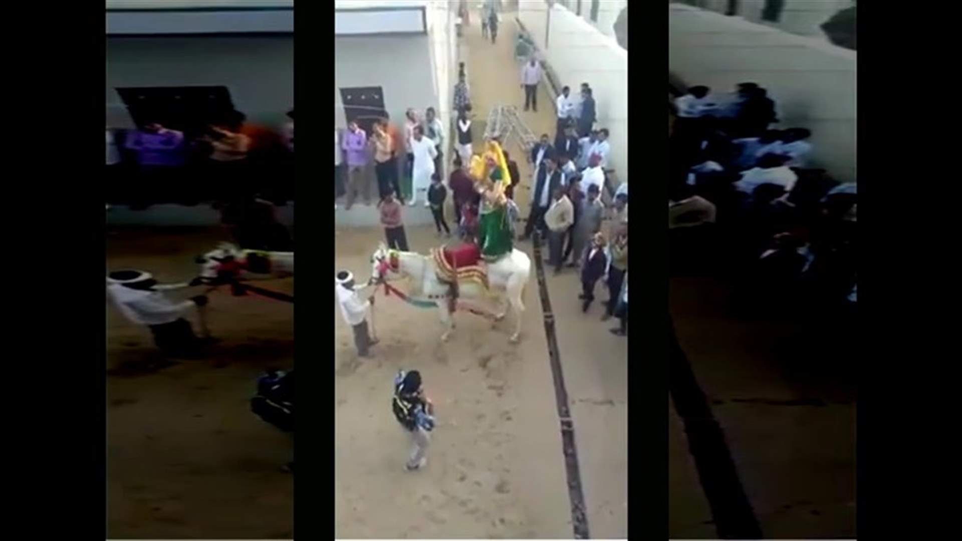 بالفيديو – راقصة تتعرض لموقف حرج خلال زفاف شعبي... بسبب حصان