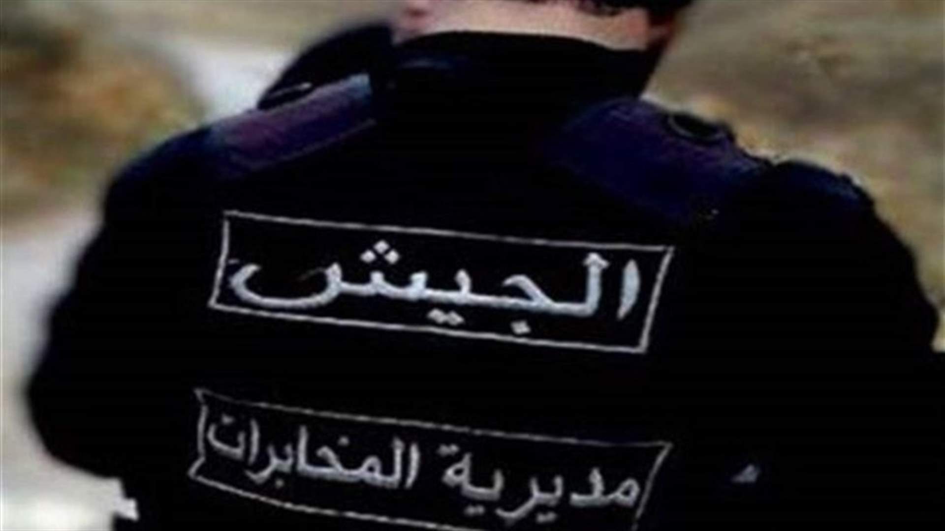 الجيش يوقف اكثر من 20 سوريا في صيدا