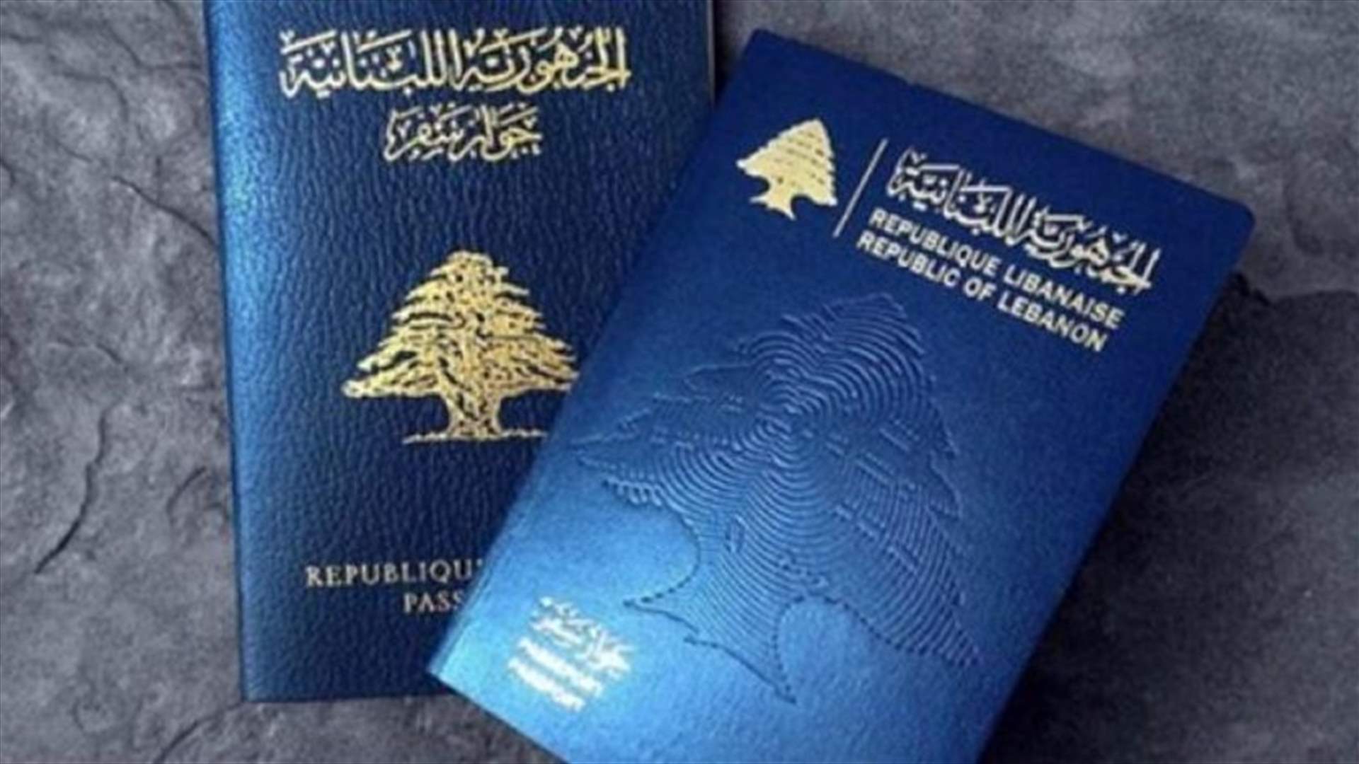الجمهورية - العمل بمرسوم التجنيس جُمّد للمرة الثانية