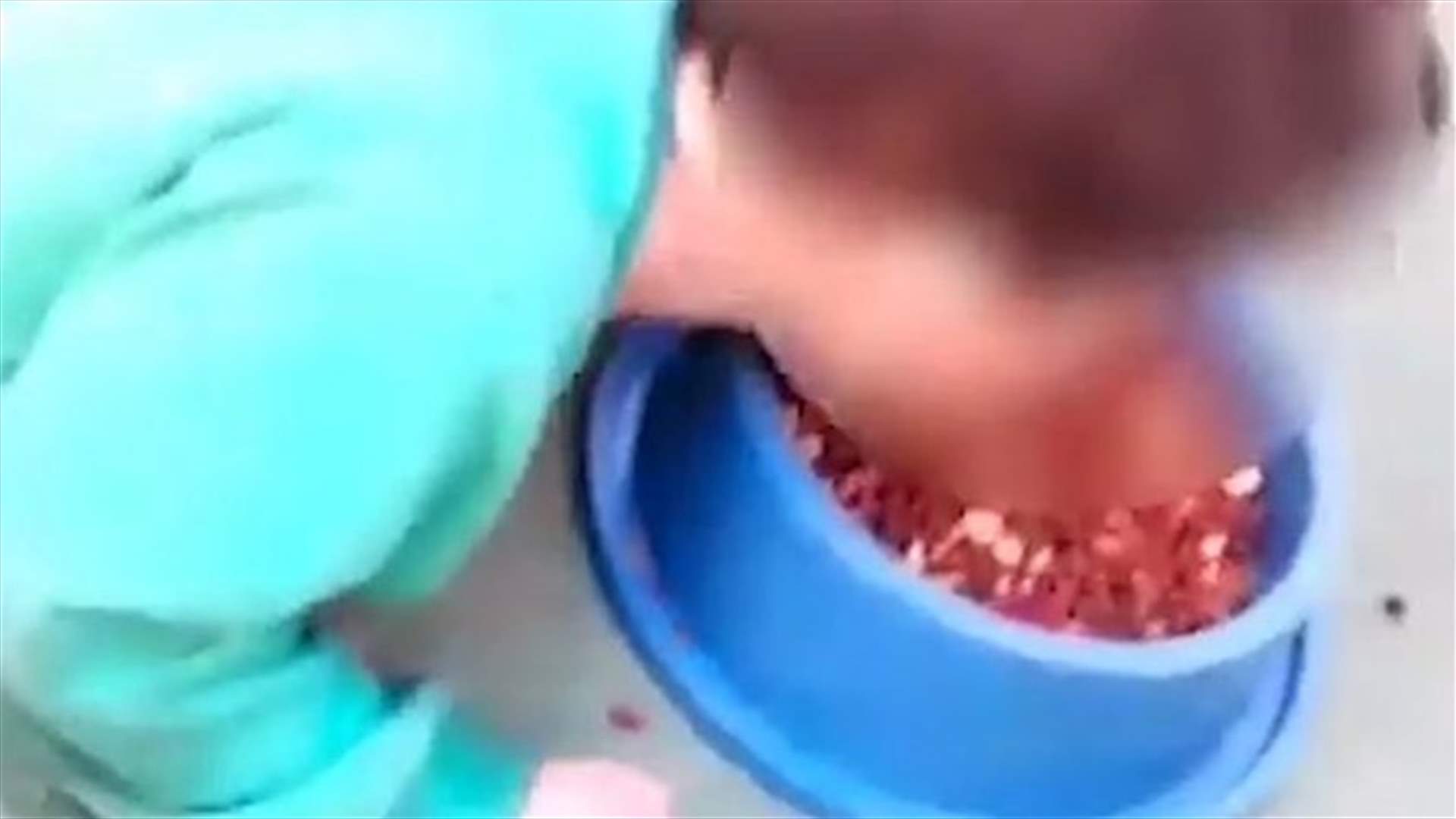 فيديو صادم... أم تجبر طفلها &quot;المريض&quot; على تناول طعام الكلاب