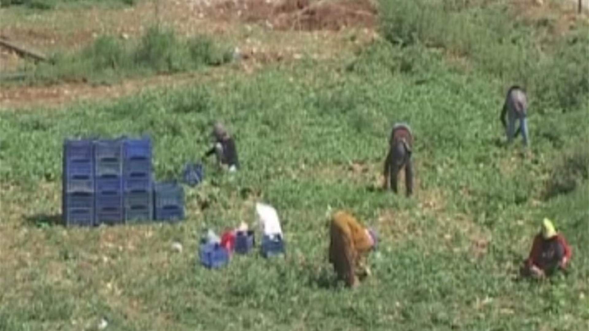 المؤتمر العام للاصلاح الزراعي في لبنان