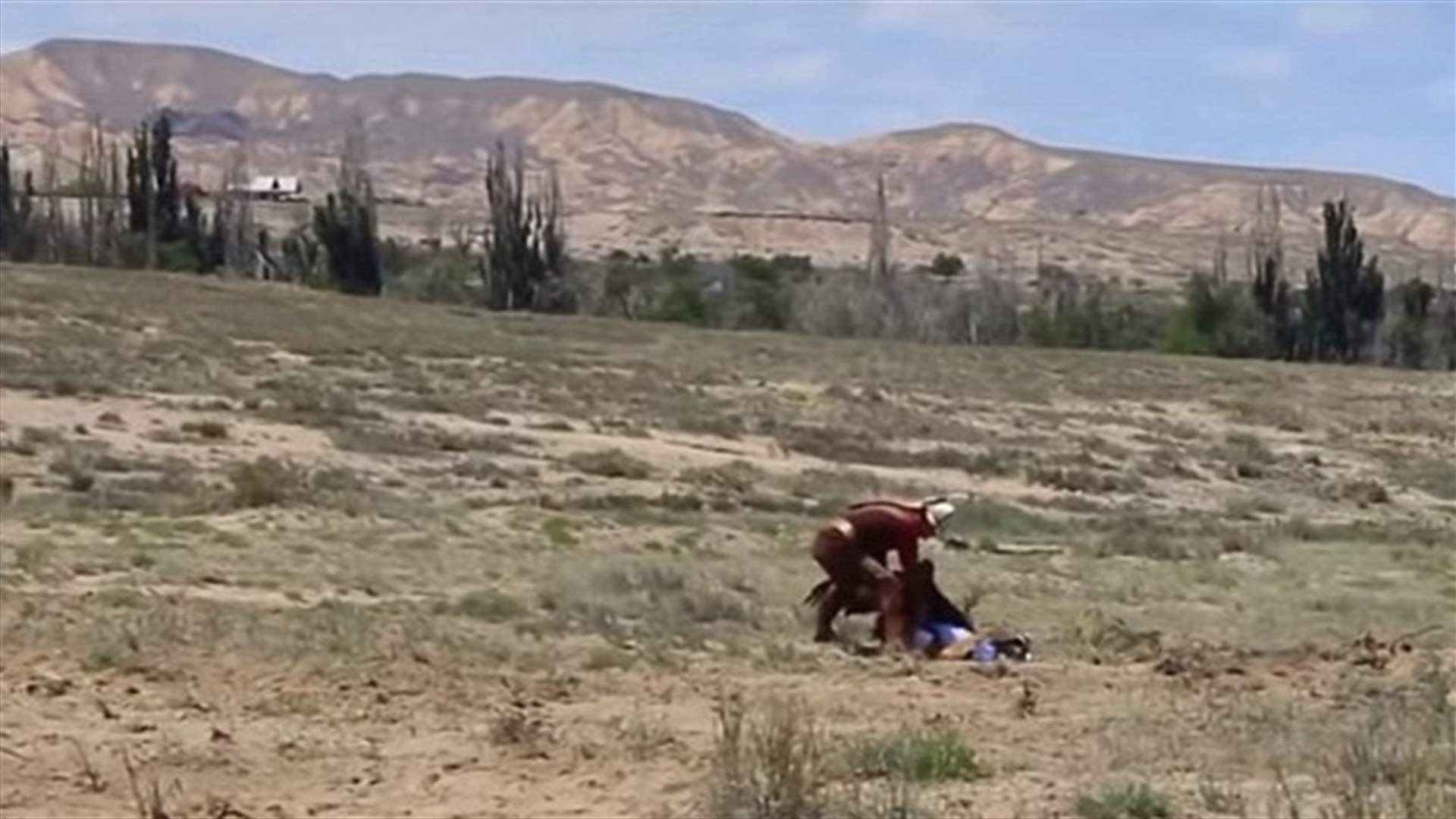 بالفيديو- لحظة انقضاض صقر ضخم على طفلة في الثامنة من عمرها