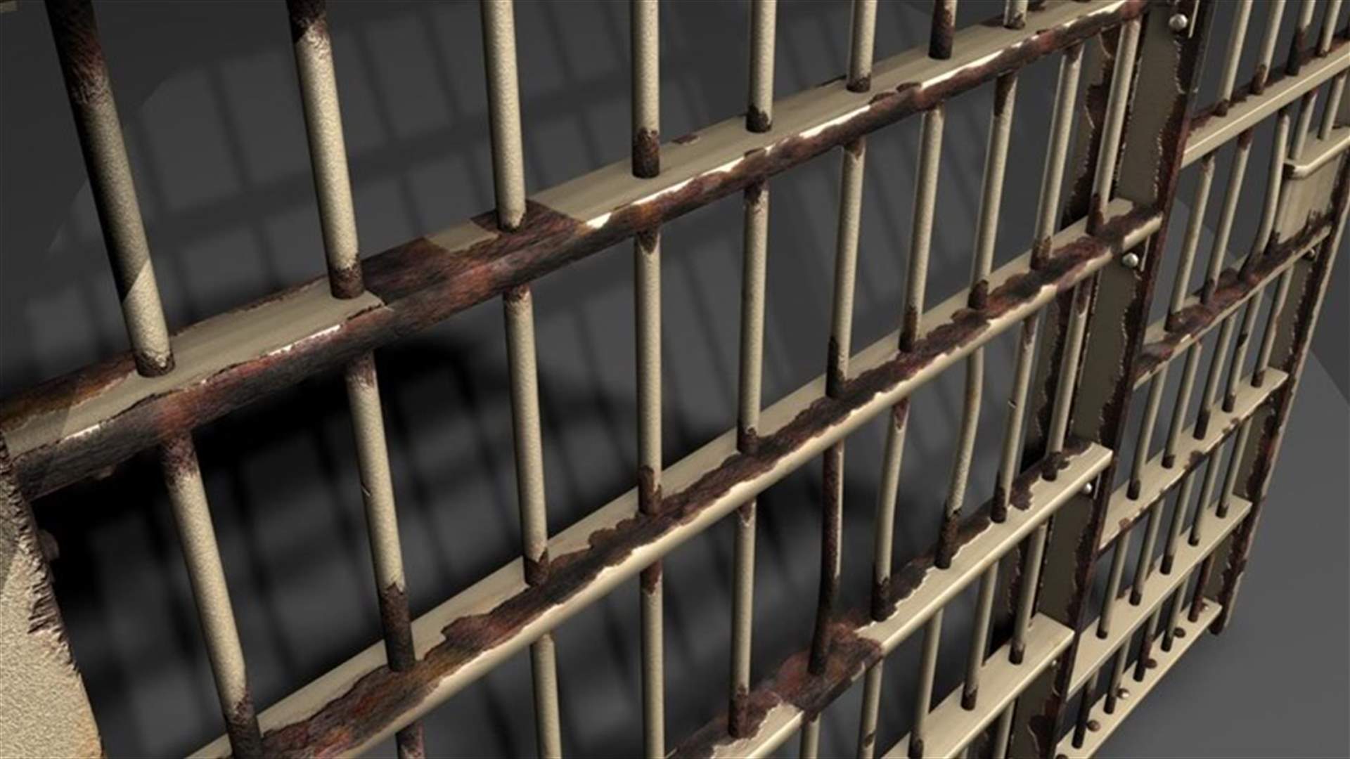 مسؤول بقوى الأمن عن إدارة السجون لـ"الشرق الأوسط": لا تعذيب في سجوننا
