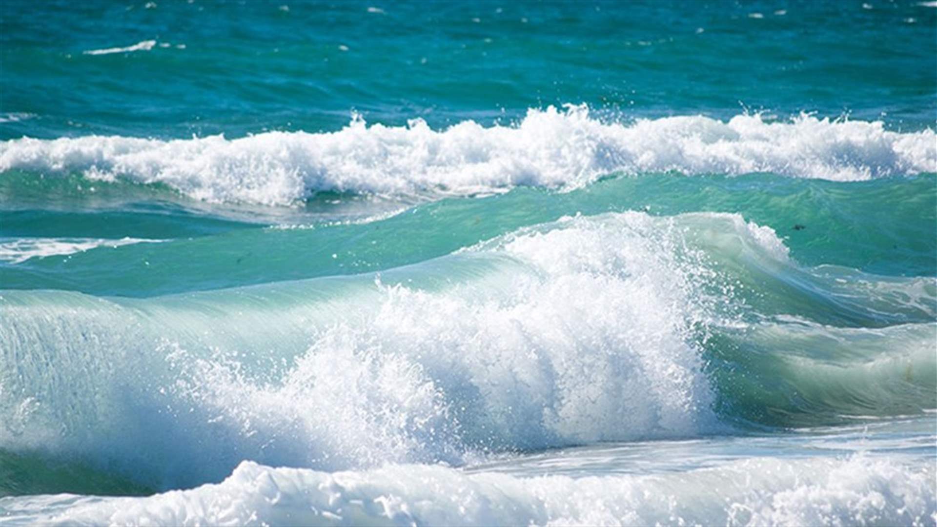 ما هو الجسم الغريب على شاطئ عدلون؟