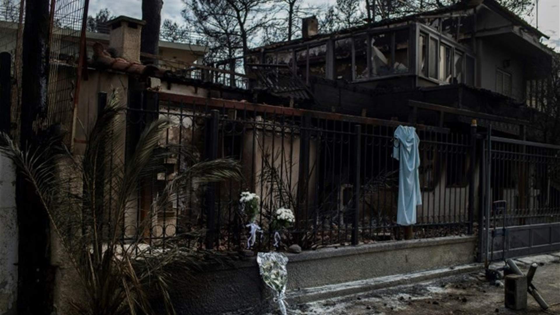 We suspect arson, Greek minister says of wildfire