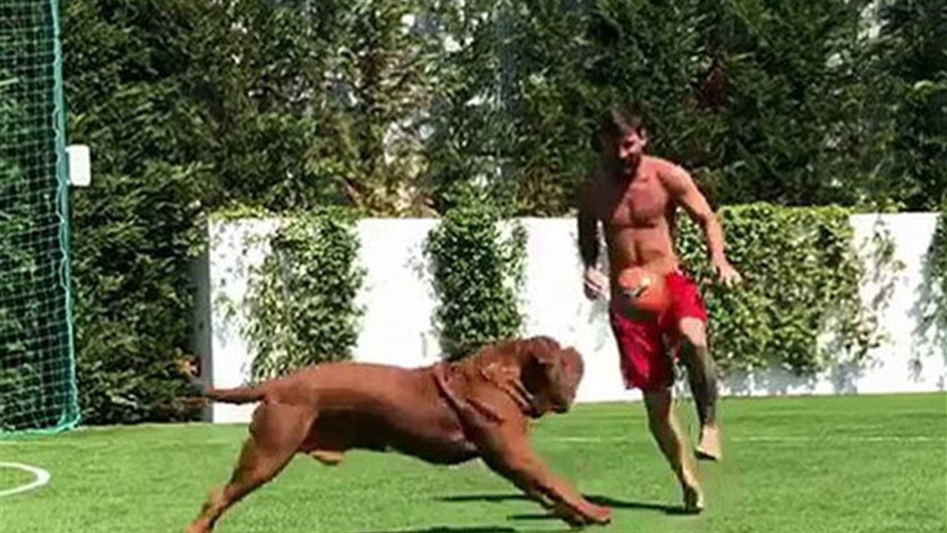 بالفيديو- ليونيل ميسي يتحدى كلبه في كرة القدم... فمن ربح؟