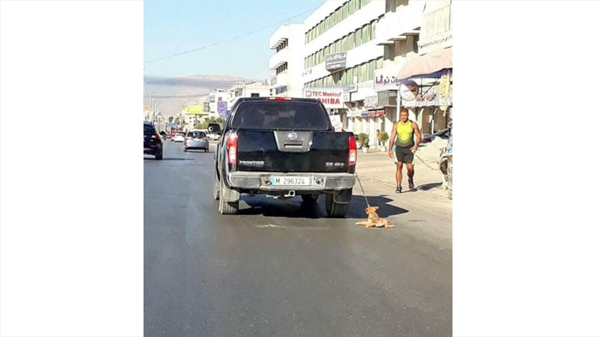 سيارة تجر كلبا وراءها في الفرزل... اليكم حقيقة ما حصل