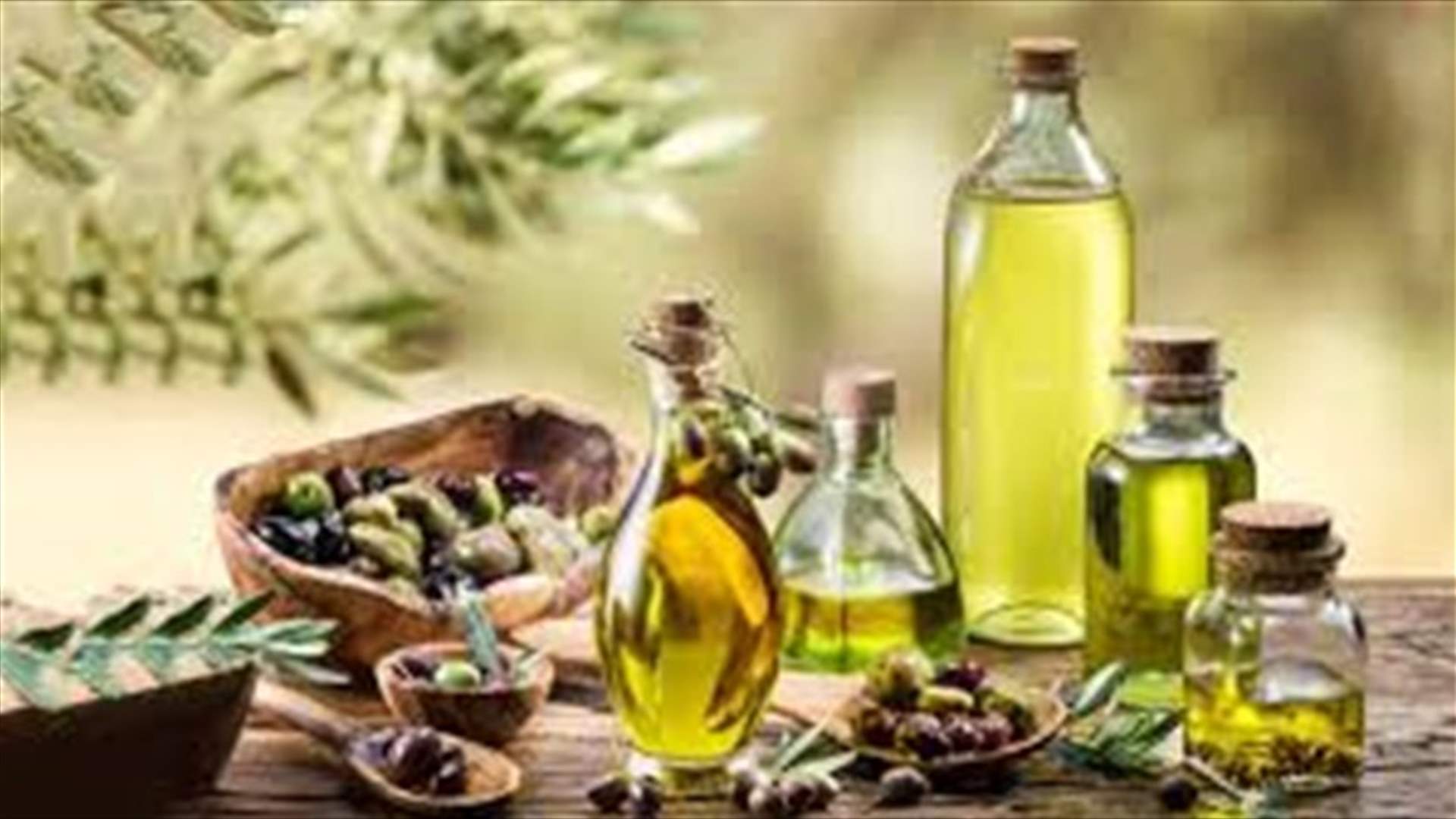 الحريري اكد دعم انتاج زيت الزيتون في حاصبيا ومرجعيون