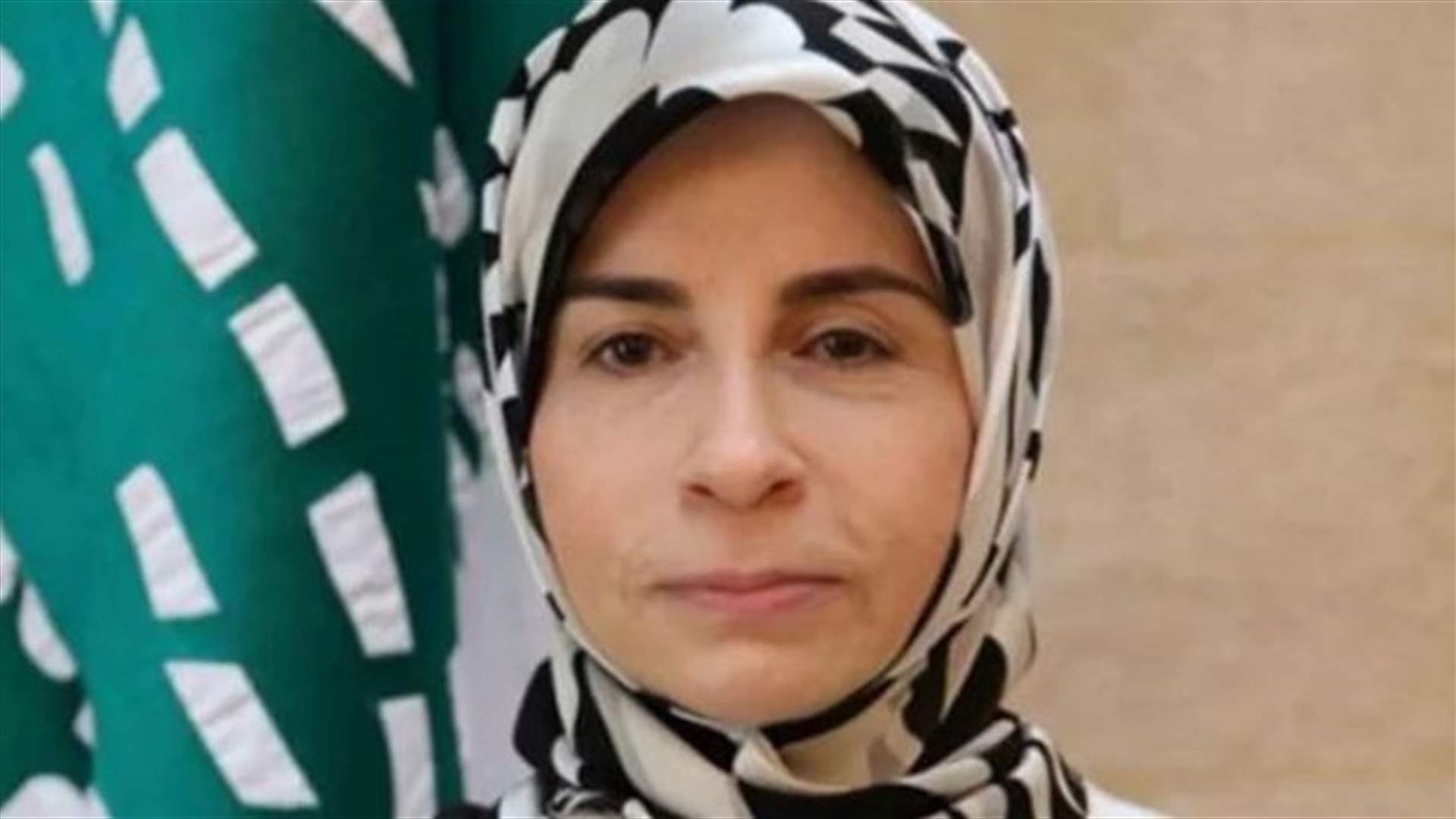 عناية عزالدين: لا أساس للكلام عن ان معمل الزهراني فيه 4 مجموعات لتوليد الطاقة الكهربائية