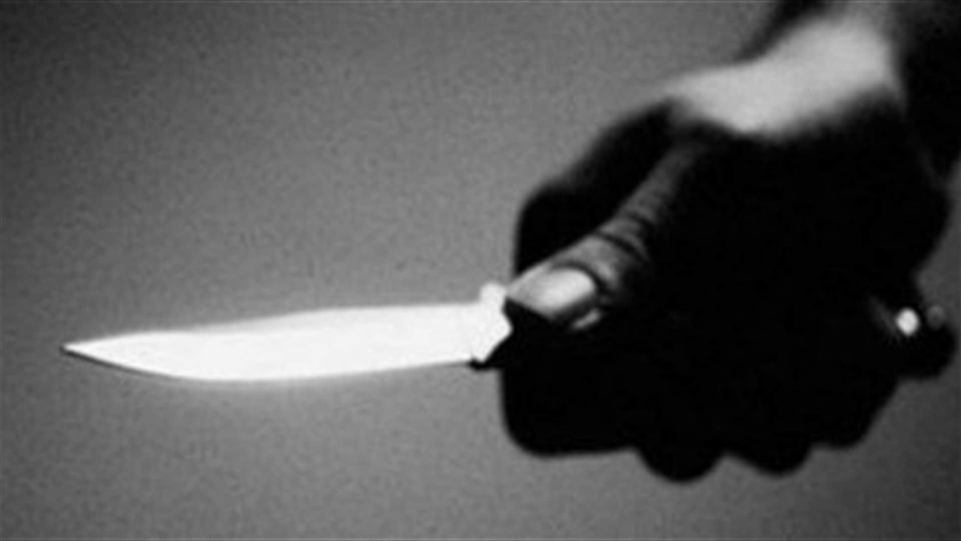 Knives attack injures 2 people in Denieh  ​
