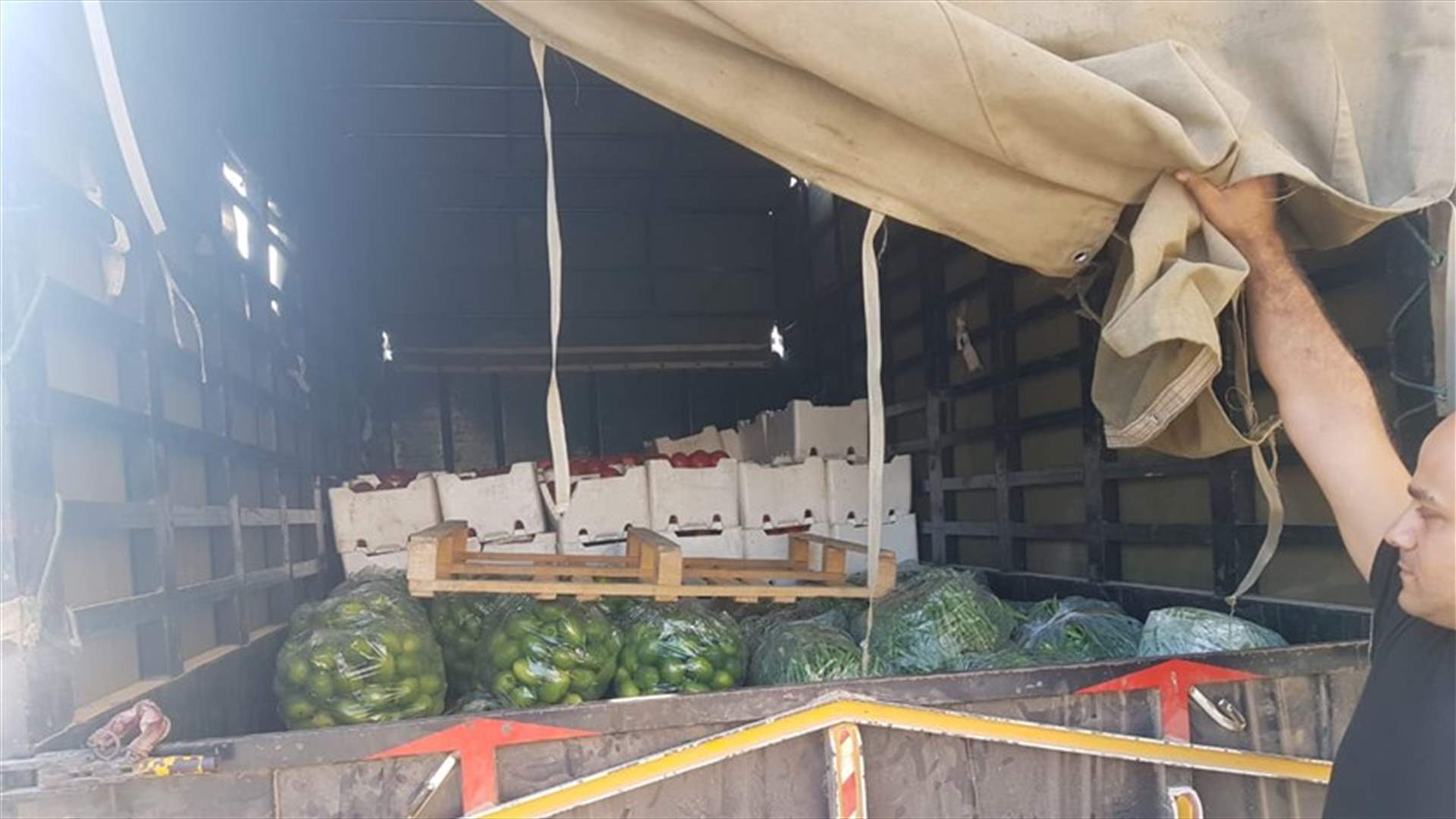 الجمارك تضبط خضار مهربة عبر الحدود السورية