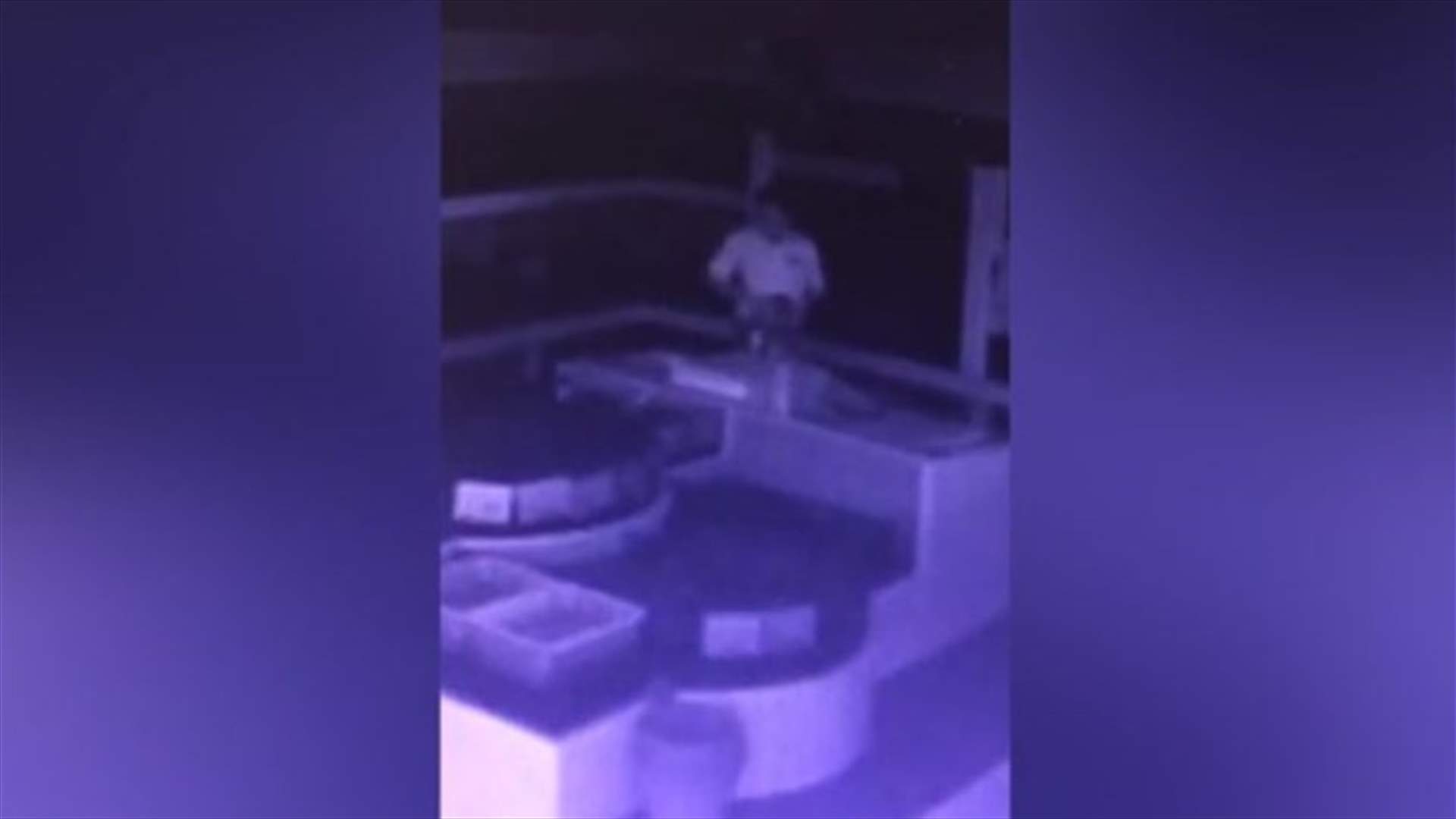 وضع السلاطعين الحيّة في سرواله كي يسرقها... وكاميرات المراقبة فضحت أمره!