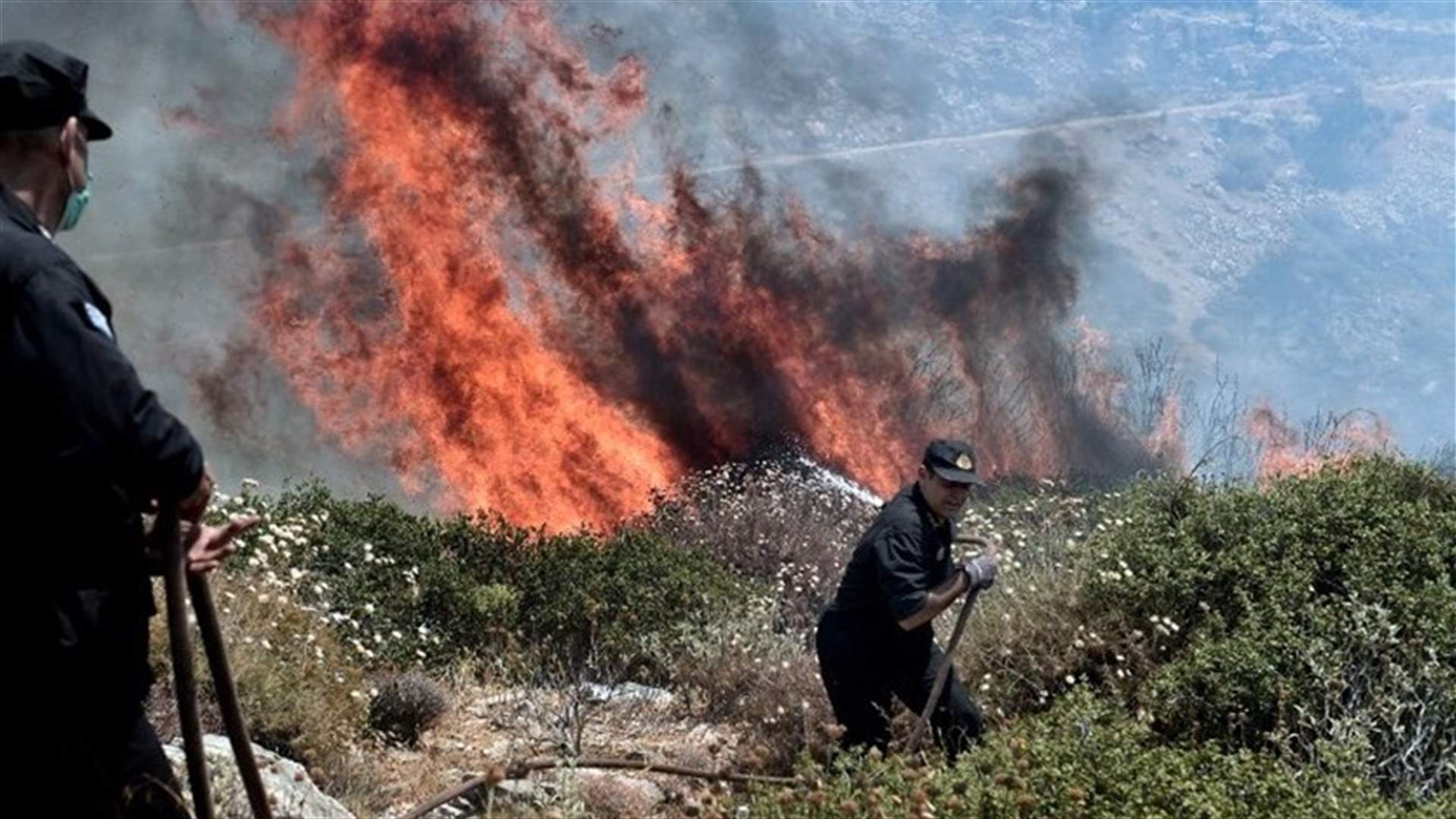 اندلاع حريق غابات على جزيرة إيفيا اليونانية
