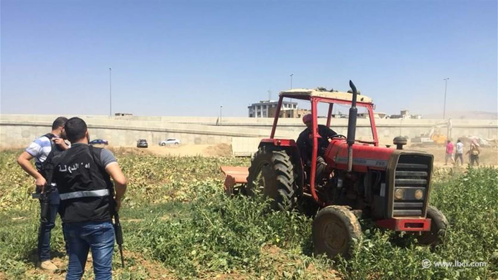 أمن الدولة يتلف مزروعات تروى من مياه الليطاني والصرف الصحي