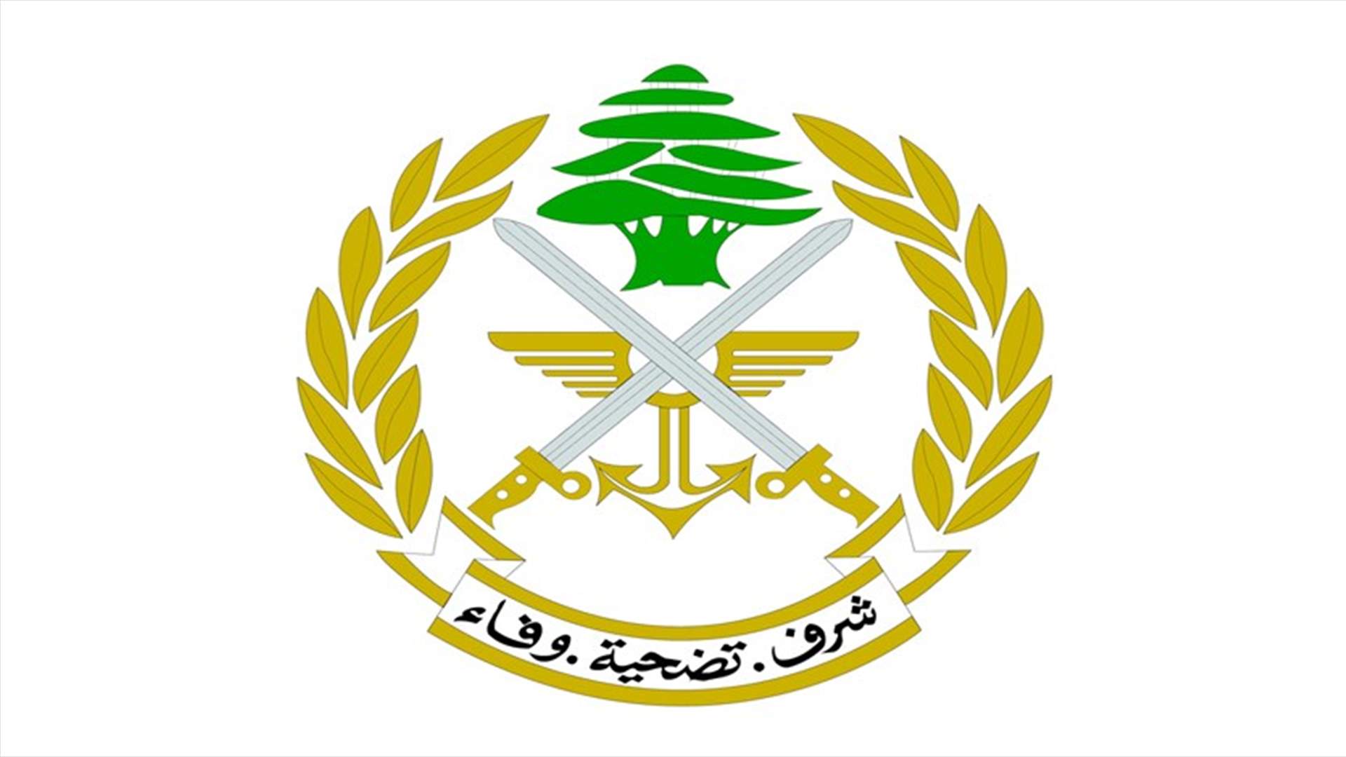 تعرُّض دورية تابعة للجيش لاعتداء اسرائيلي... وإصابة عنصُرَين