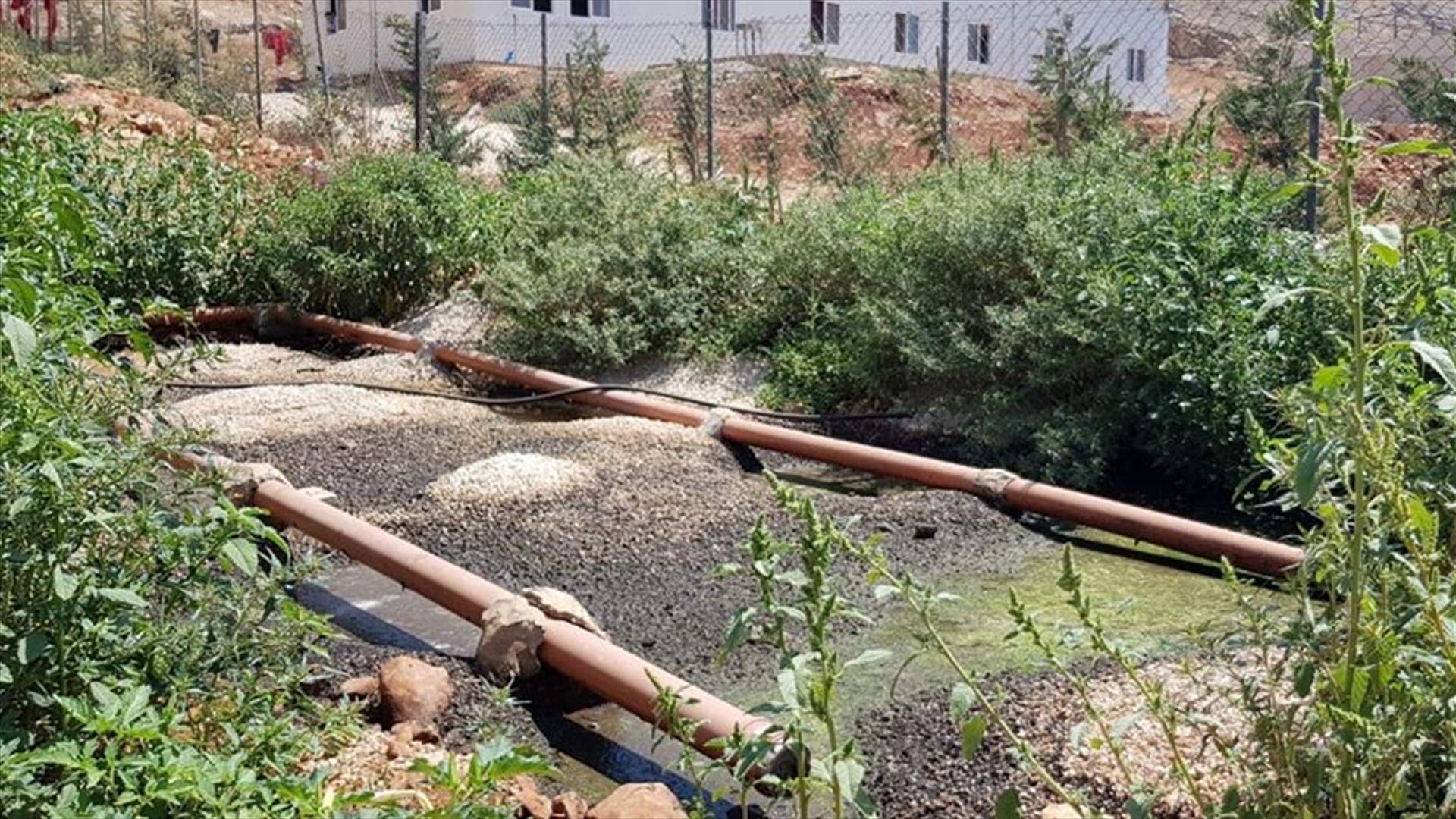 اقفال مسلخ في تربل – زحلة لعدم استيفائه الشروط الصحية (صور)