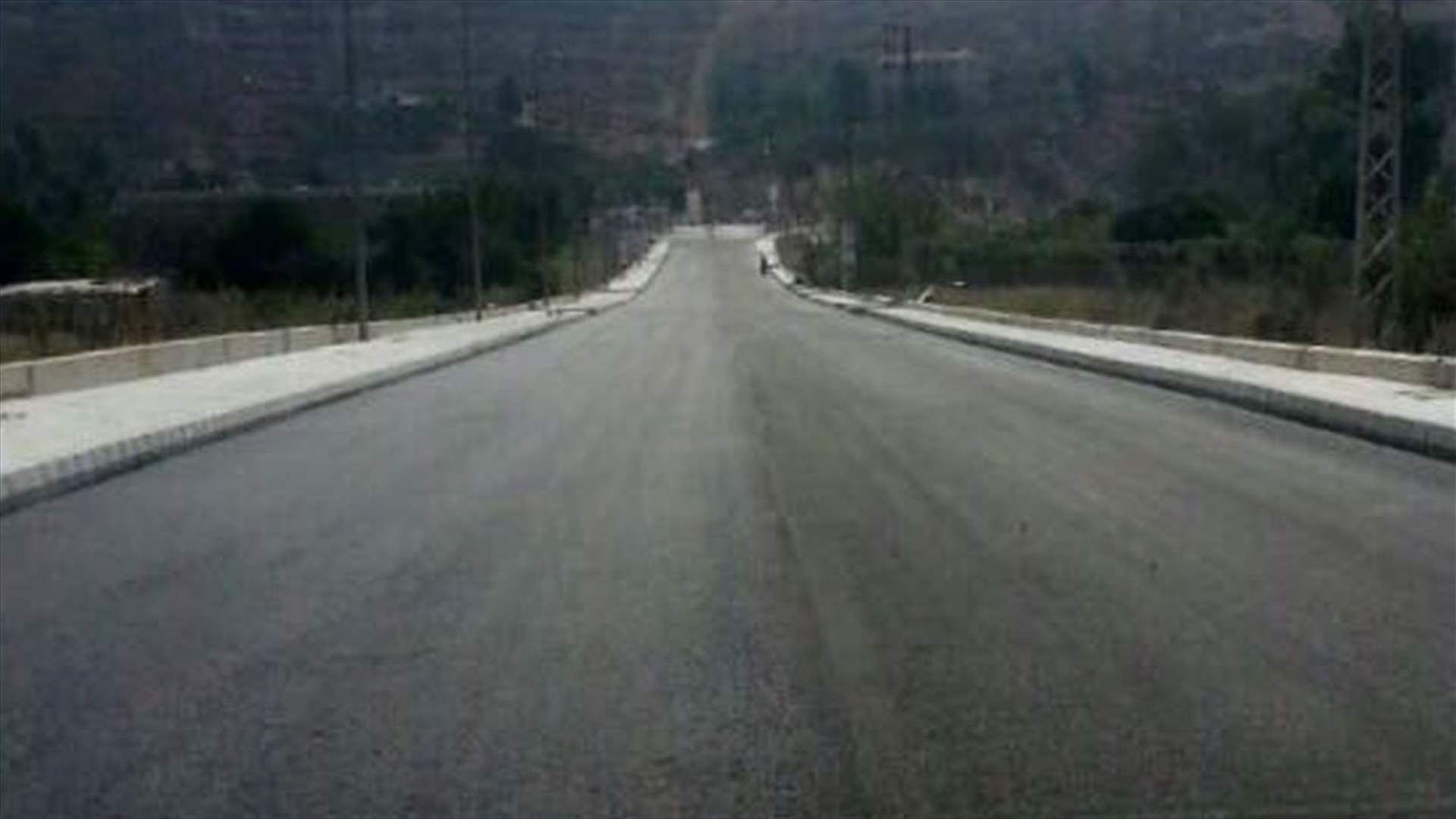 جرح أم واولادها الاربعة بانحراف سيارتهم على طريق الخيام (صورة)