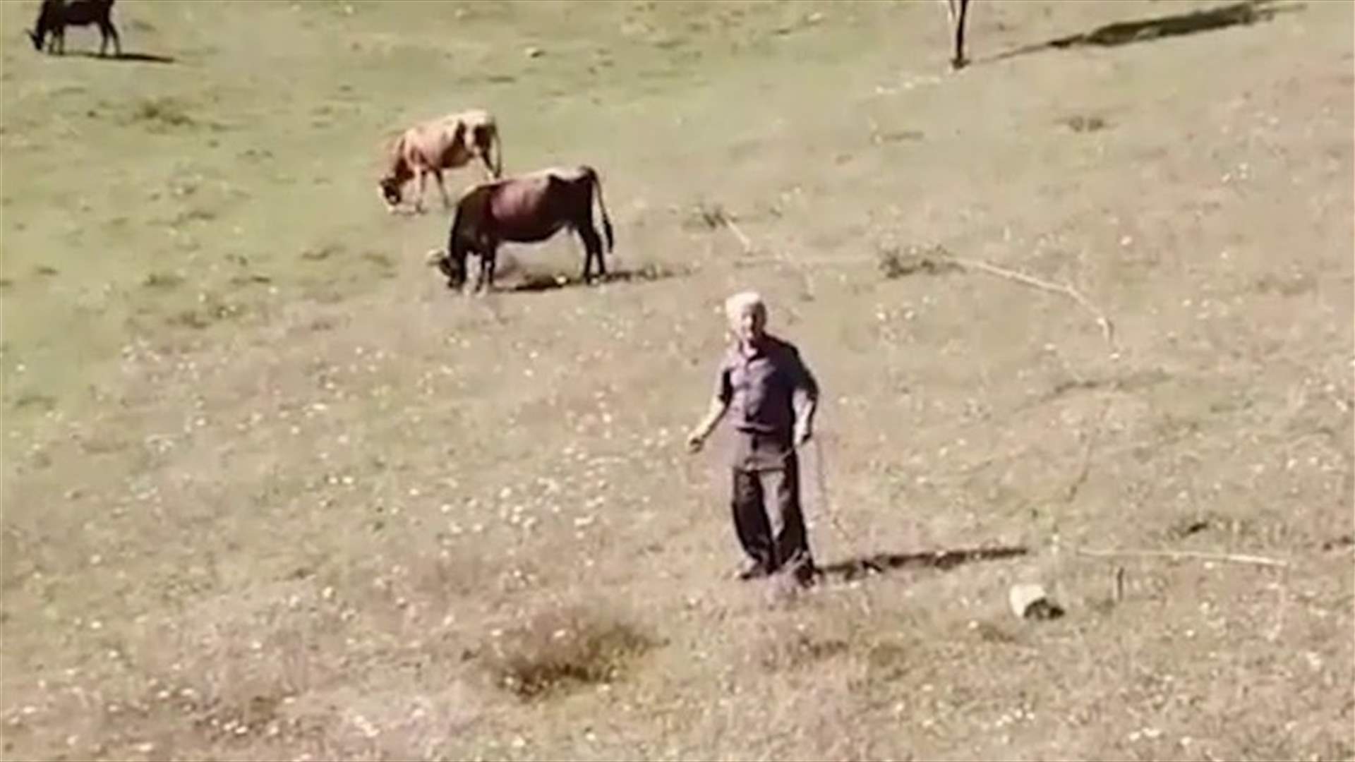 ردّ فعل مزارع تركي عند رؤيته طائرة تصوير الدرون للمرّة الأولى (فيديو)