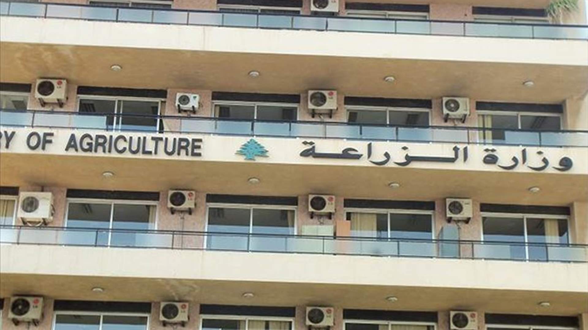 ما حقيقة انتشار مرض خطر ومميت يسمى بـ"الليشمانيا" ؟
