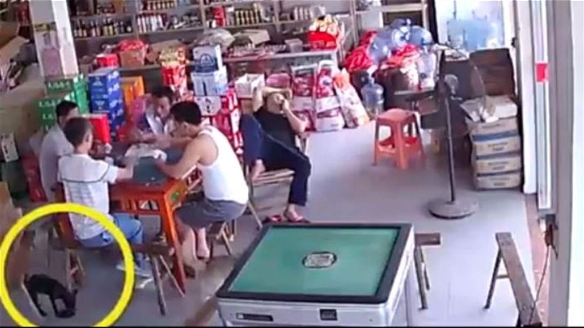 كلب يتسلل ويسرق محفظة رجل... والكاميرات ترصده