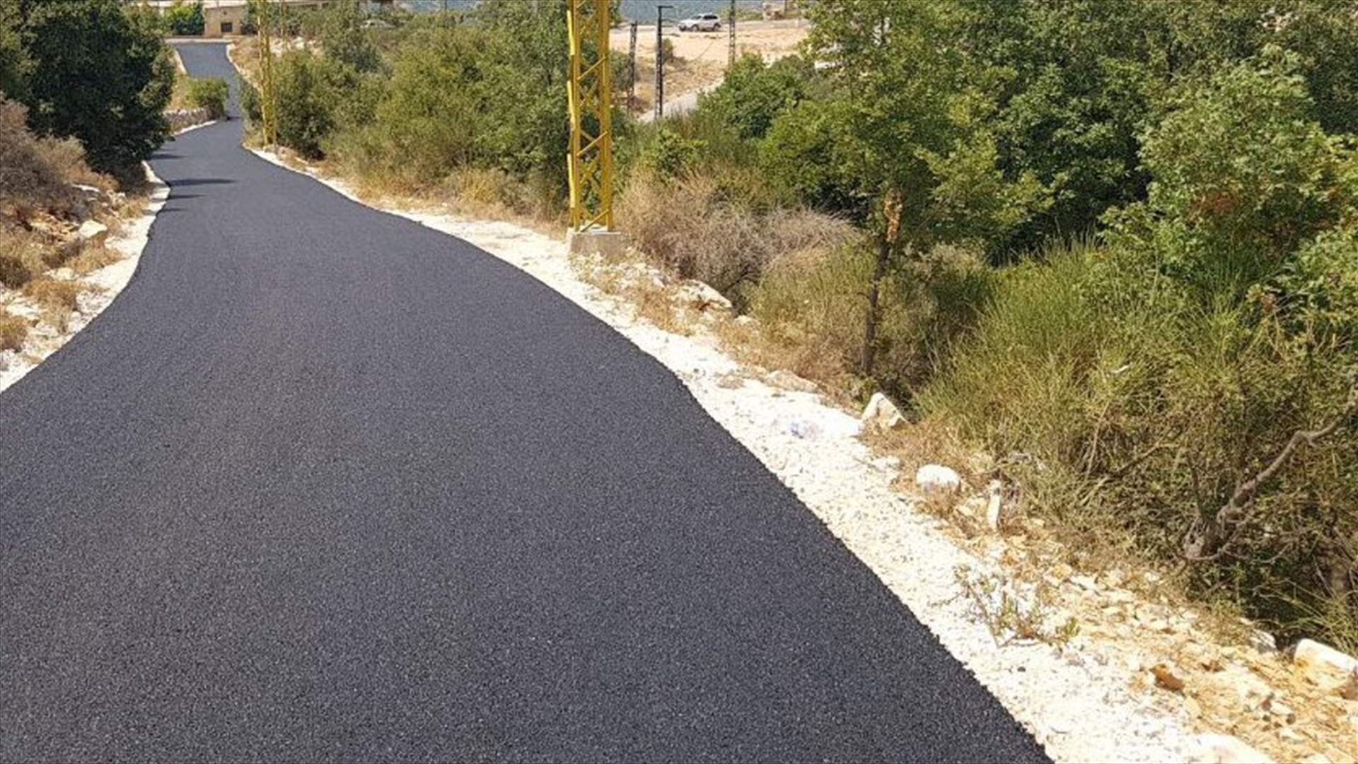 انحرفت سيارته تحت الطريق...فقضى في بلدته عرطز (صورة)