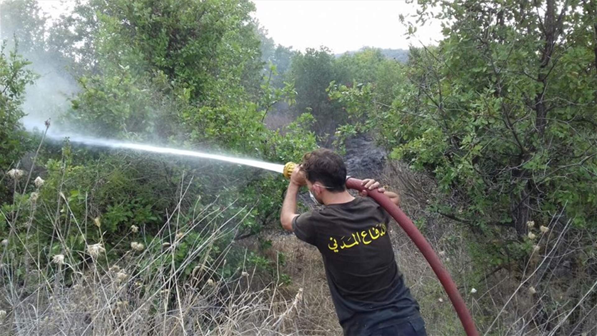 حريق في بلدة مشحا اتى على مساحة من اشجار الصنوبر