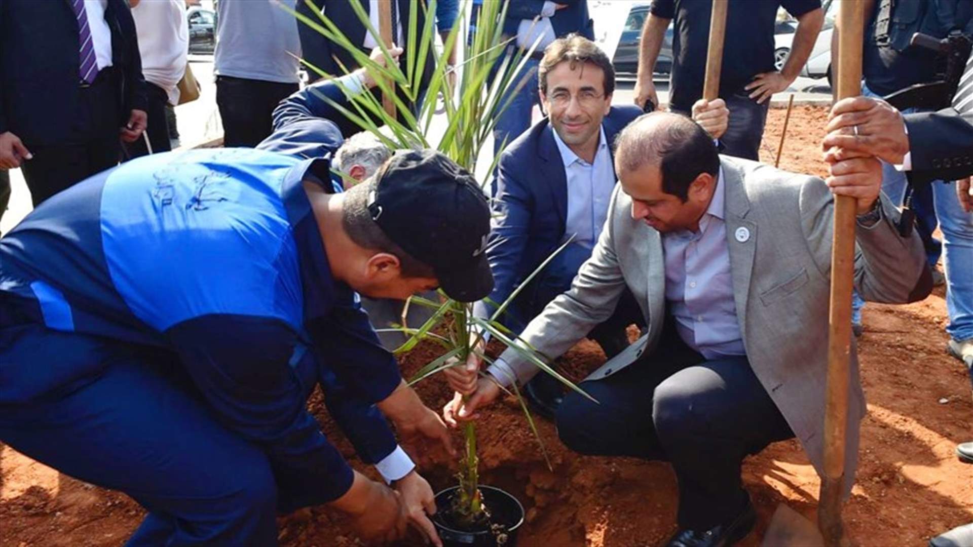 الشامسي وشبيب وعيتاني غرسوا شجرة نخيل في الرملة البيضاء
