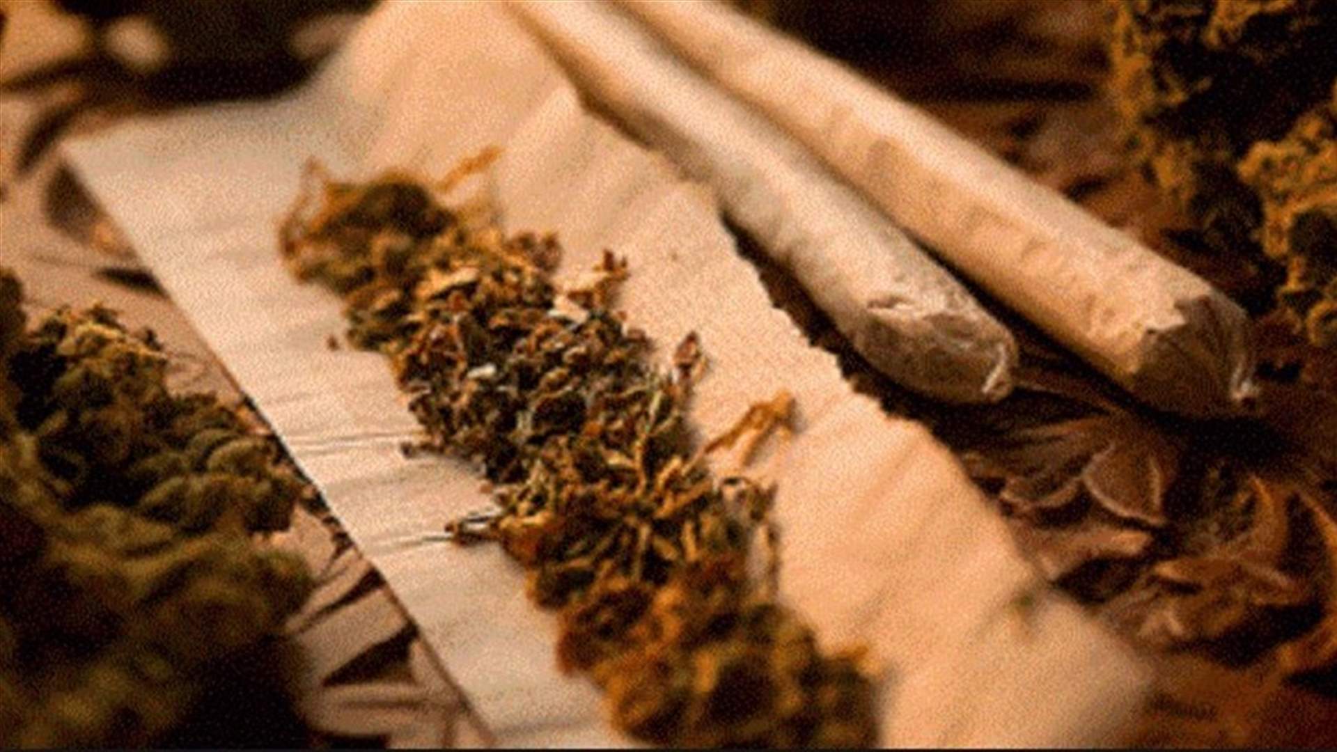 شركة تبحث عن 5 "خبراء حشيش" لتقييم منتجاتها!