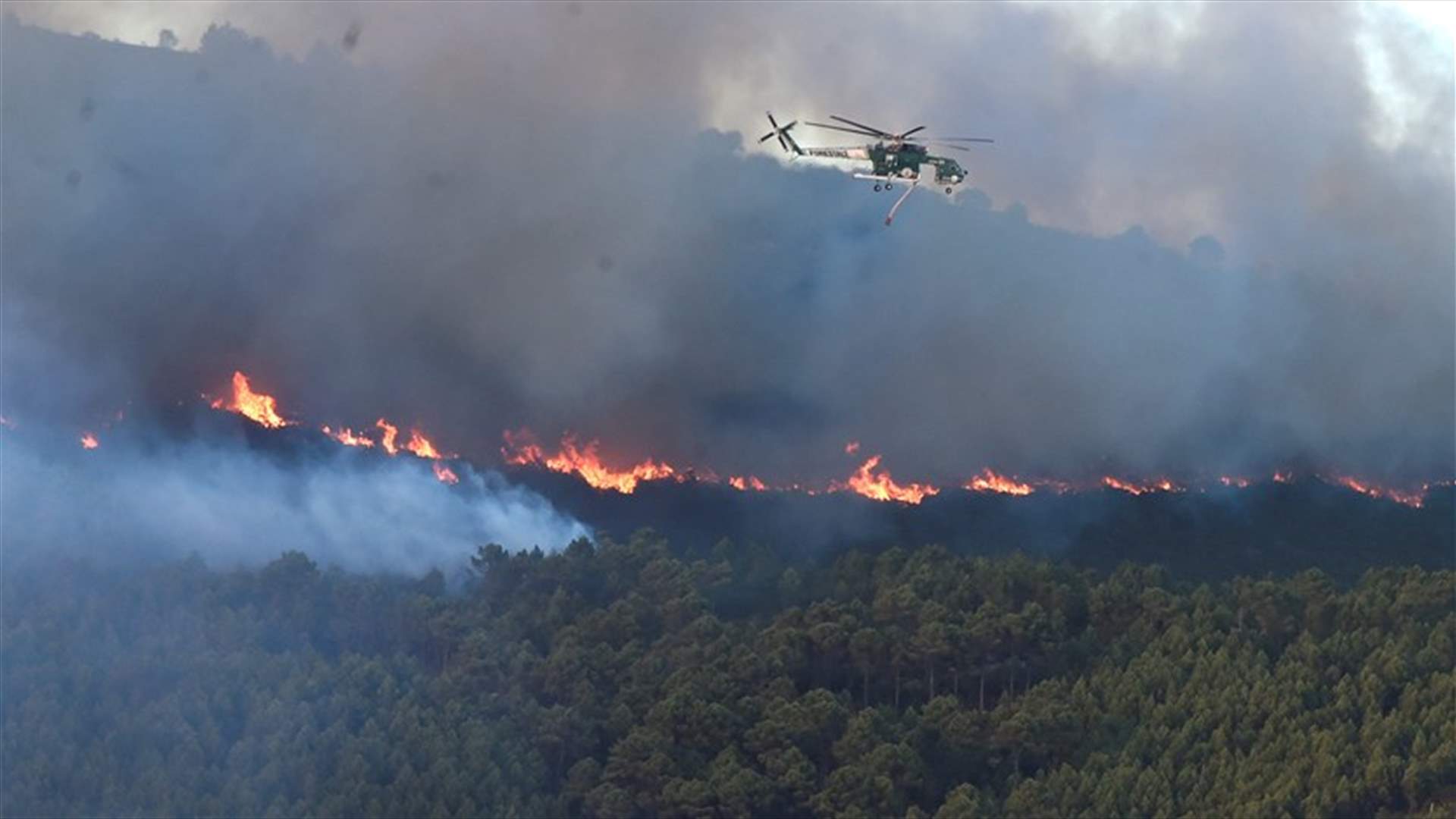 إجلاء المئات وإغلاق مطار &quot;بيزا&quot; بسبب حريق هائل يلتهم الغابات في إيطاليا
